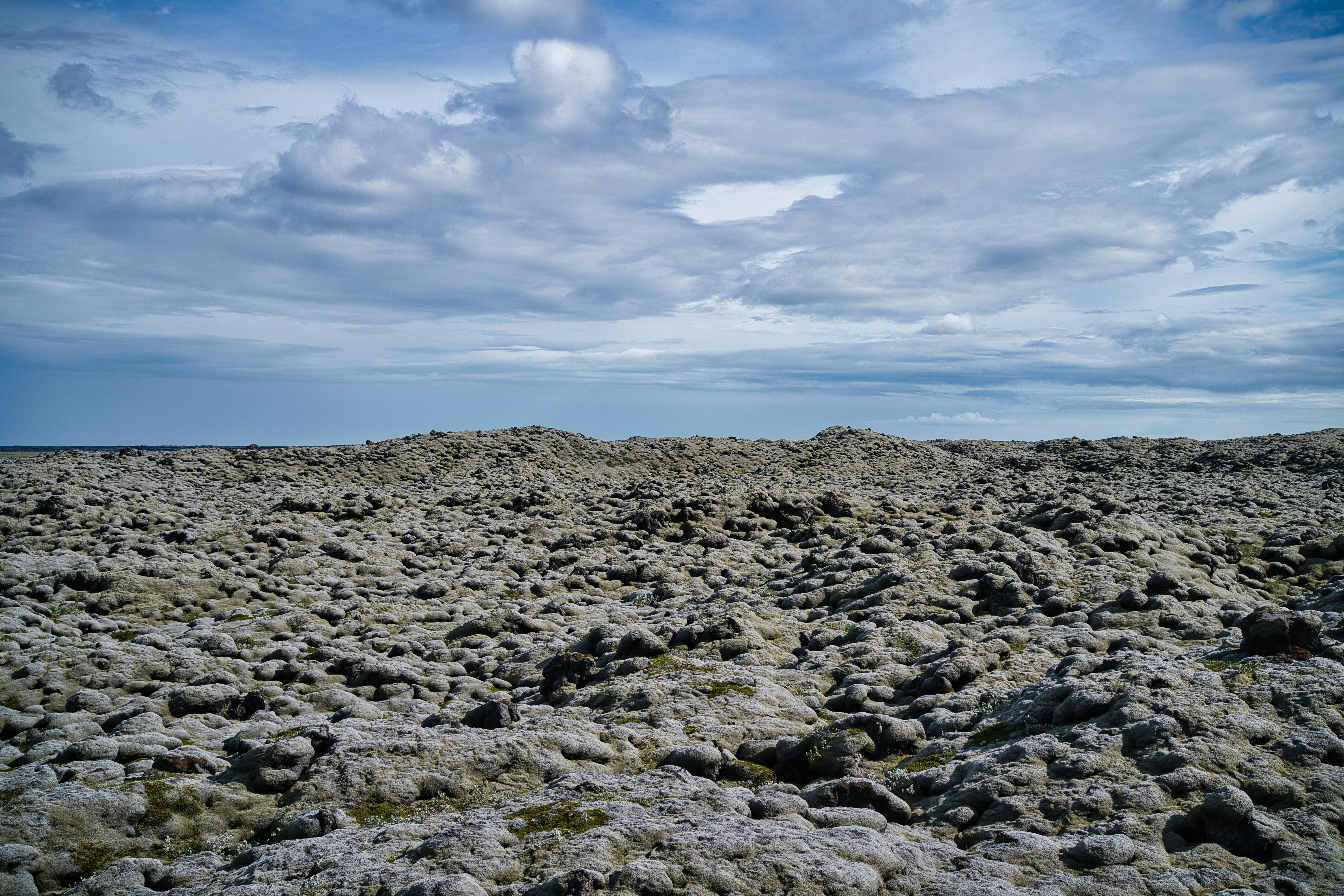 Photo by maksimshutov