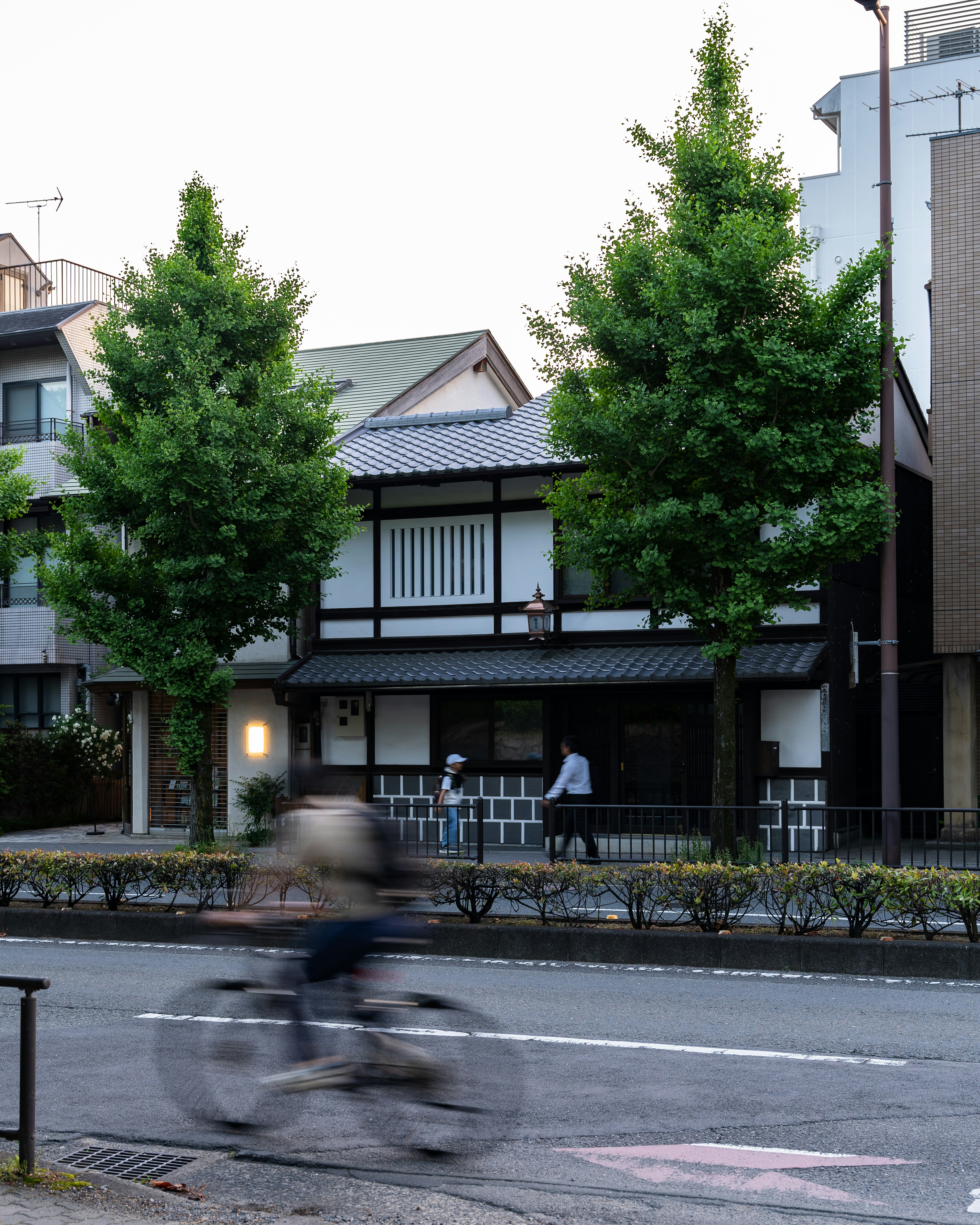 Un uomo, in sella a una bicicletta, lungo una strada, accanto, a edifici alti