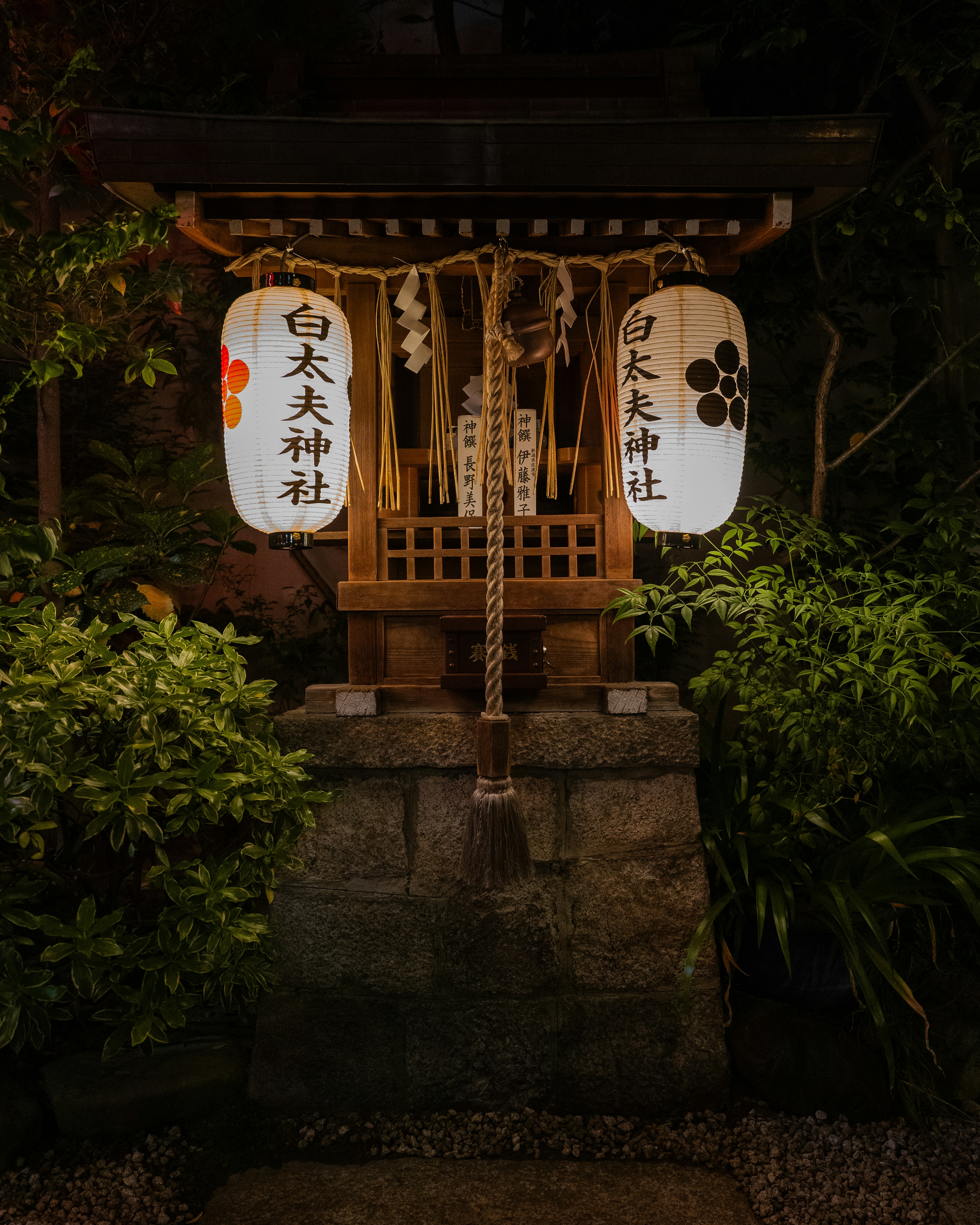 Photo by adamkolmacka