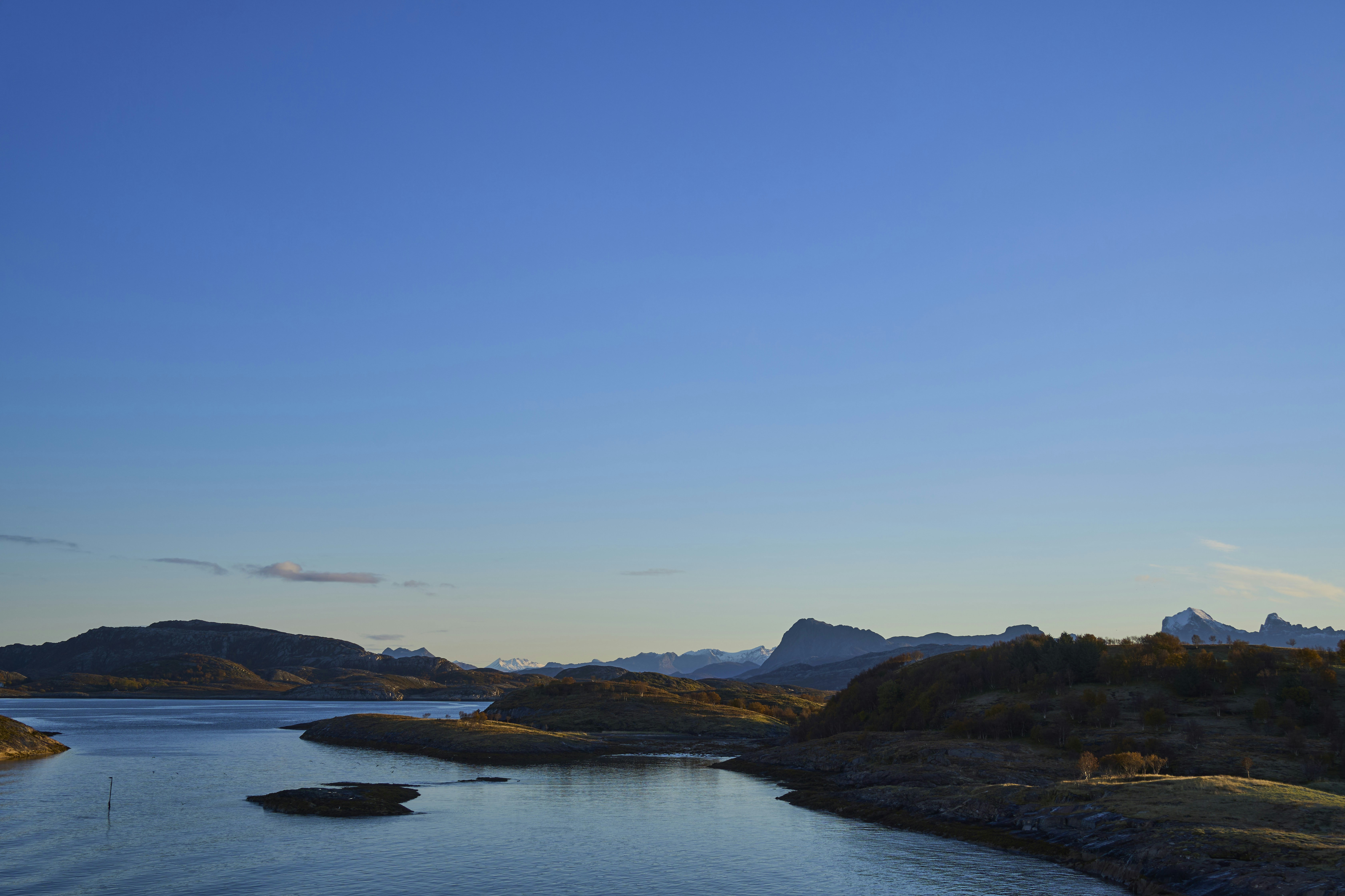 Photo by wolfgang_hasselmann