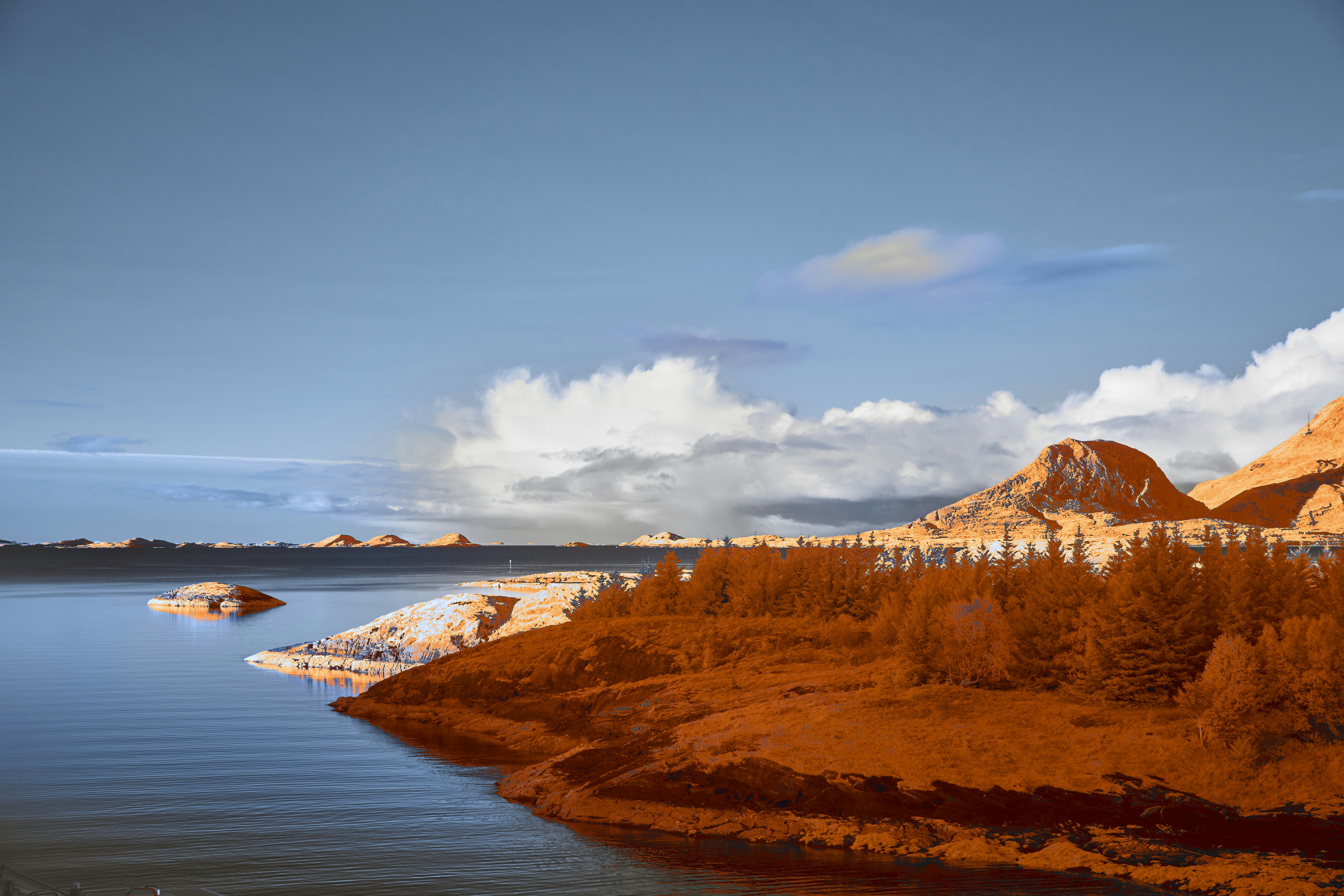 Photo by wolfgang_hasselmann