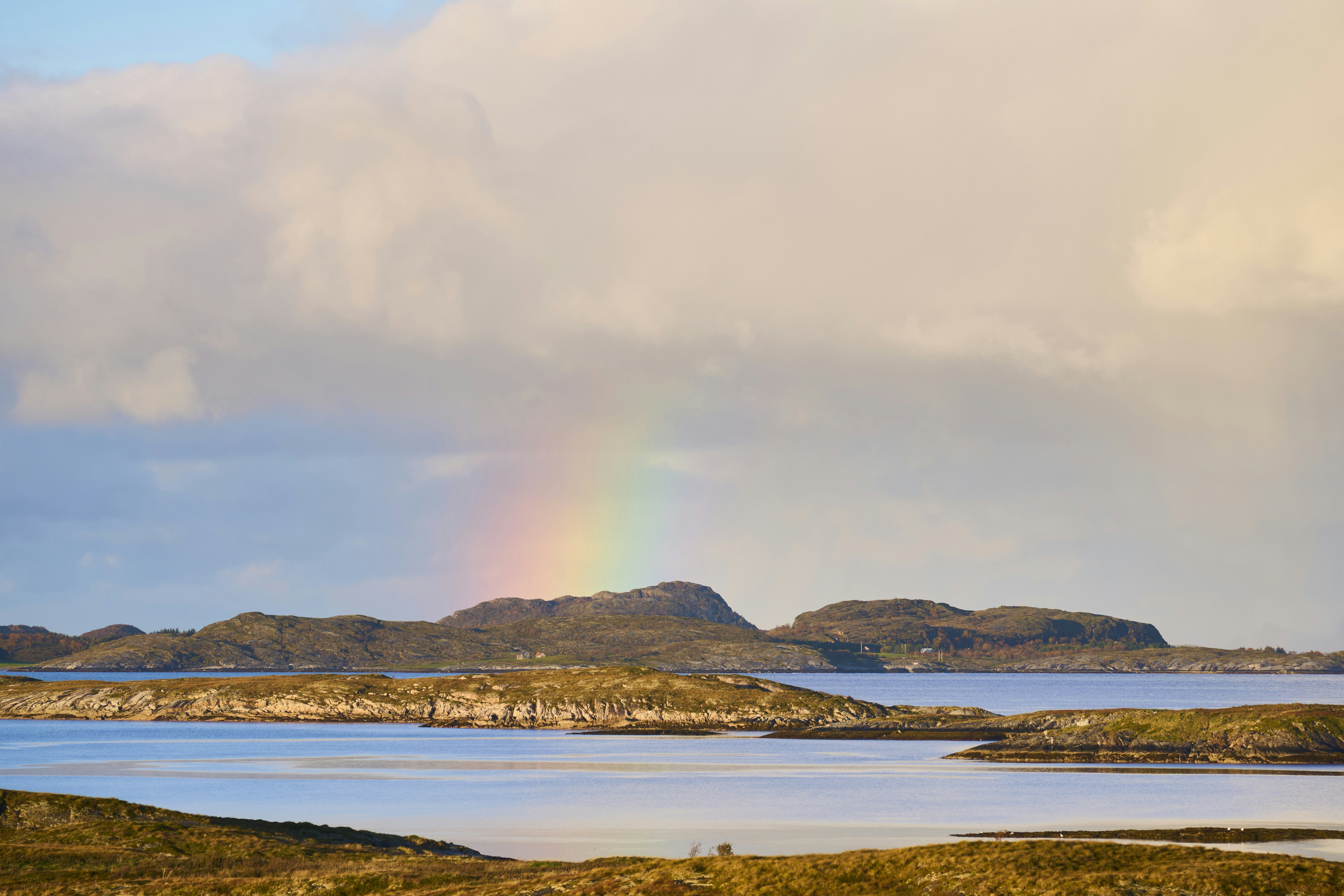 Photo by wolfgang_hasselmann