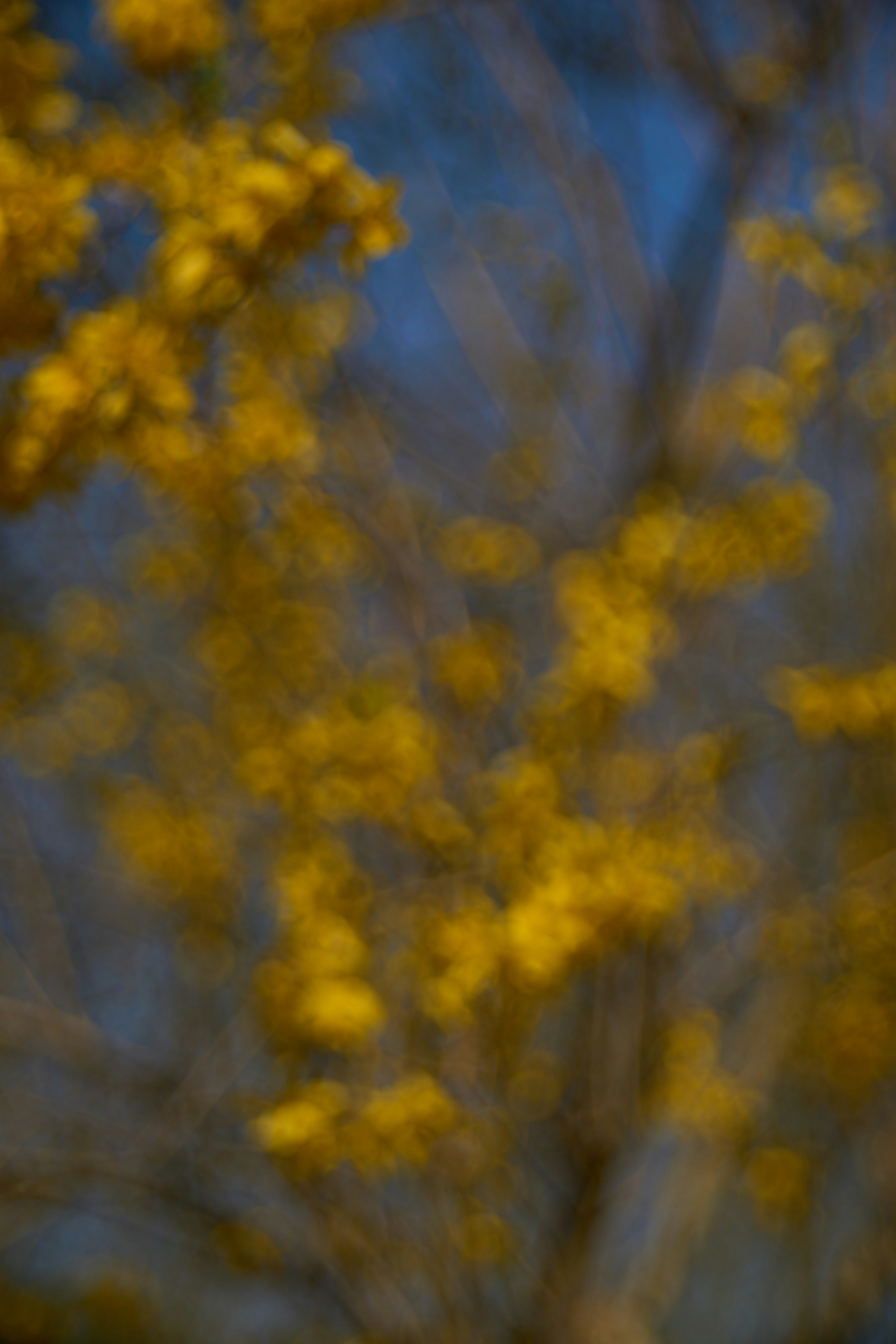 Photo by wolfgang_hasselmann