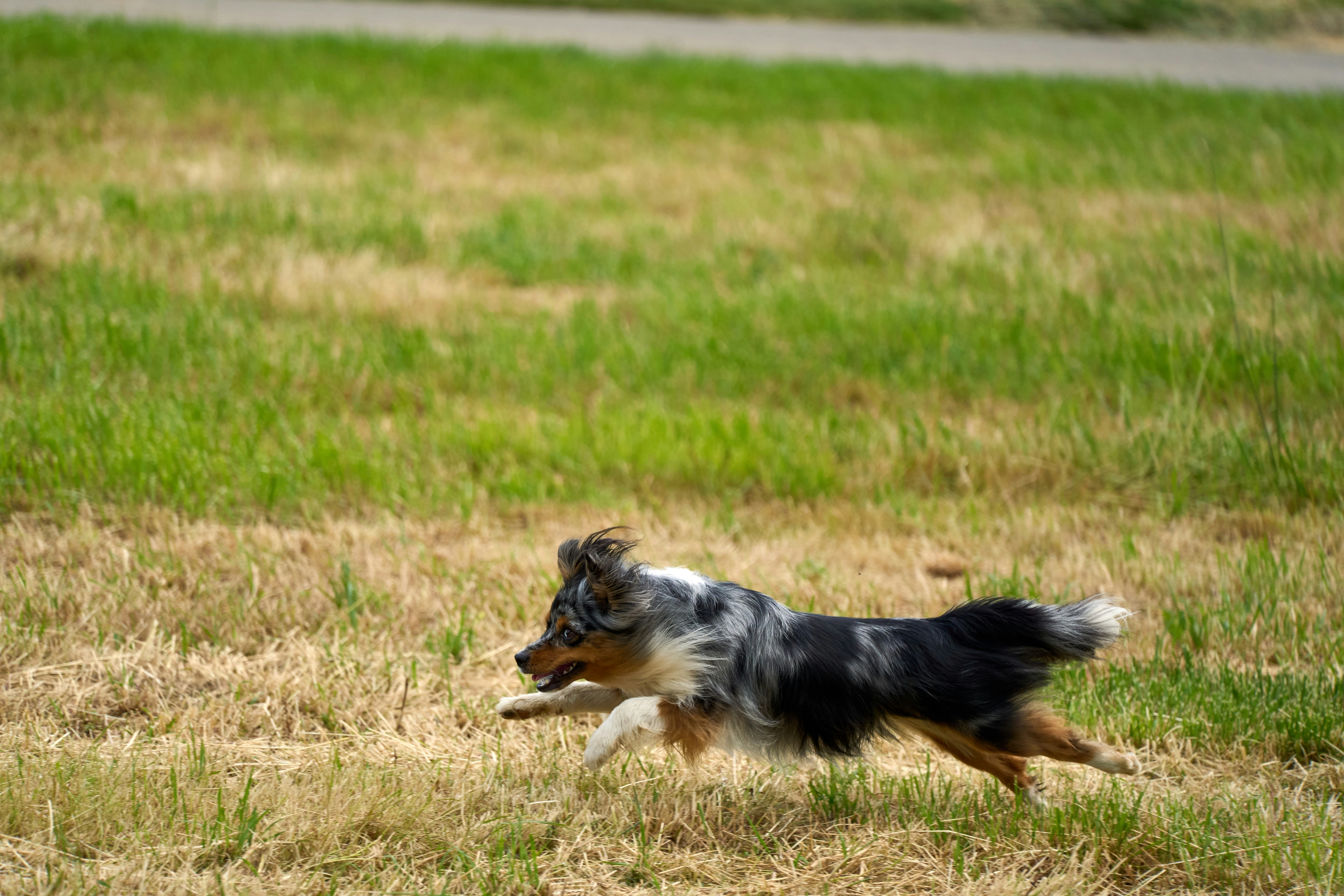 Photo by wolfgang_hasselmann