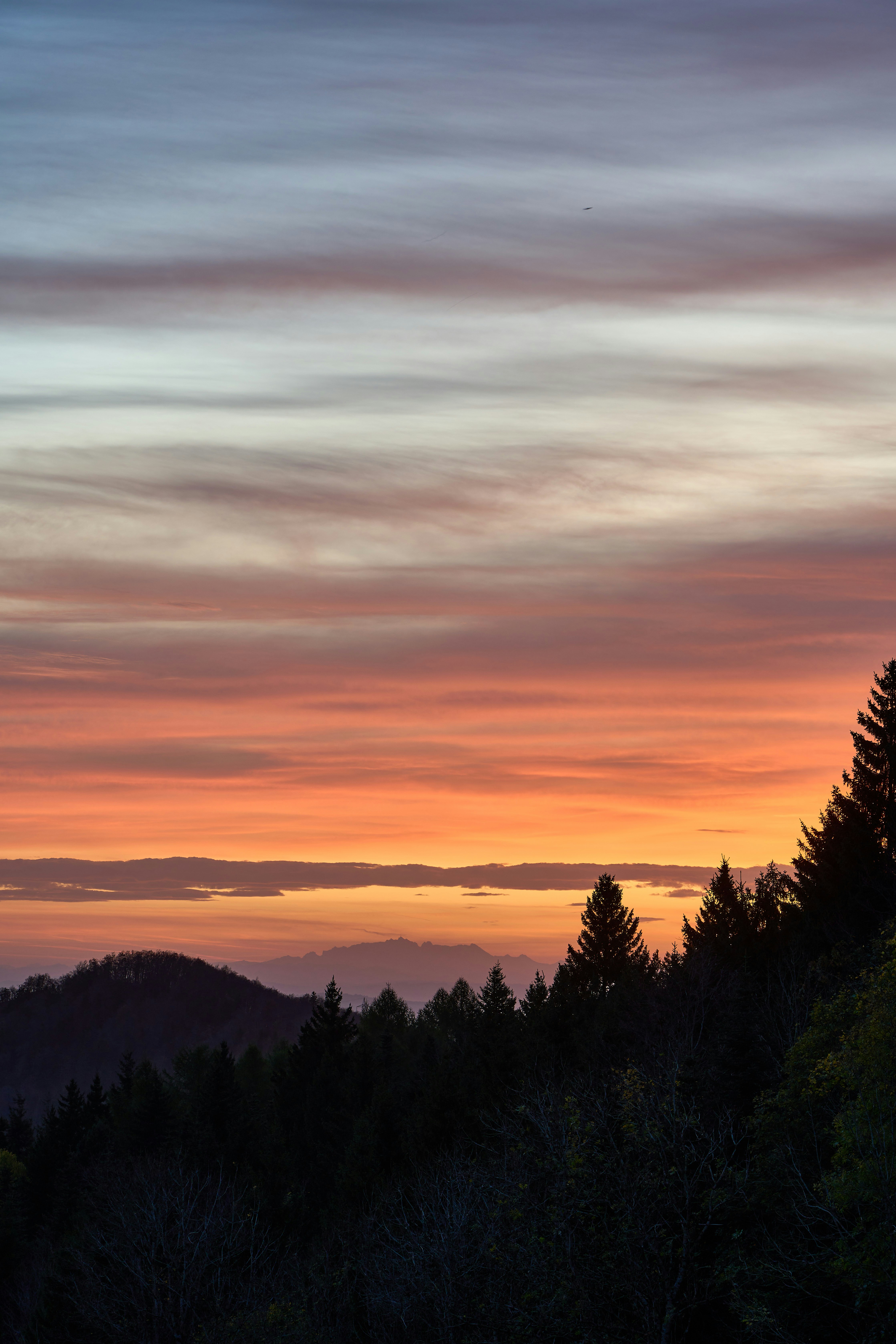 Photo by wolfgang_hasselmann