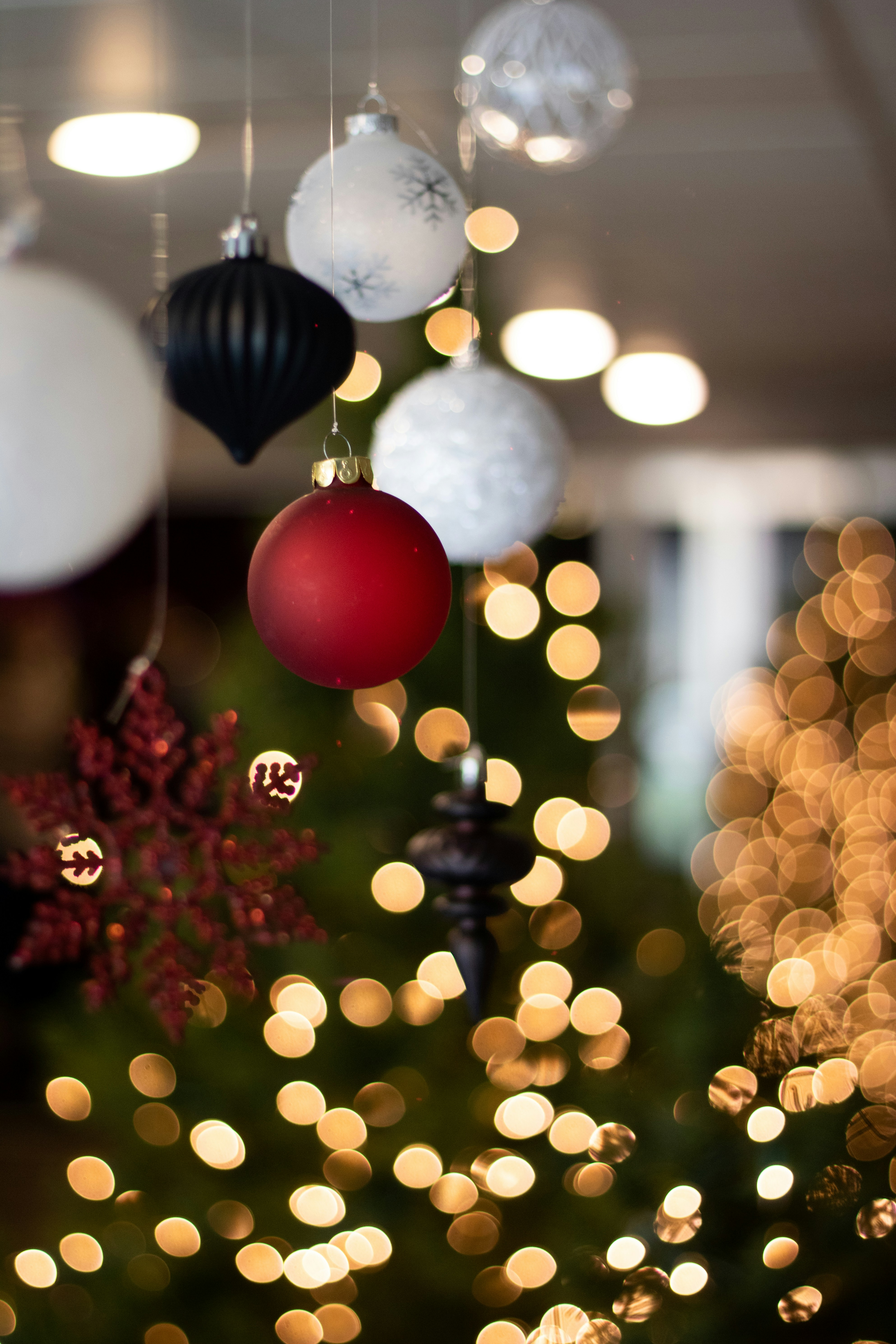 Photo by familylifecs