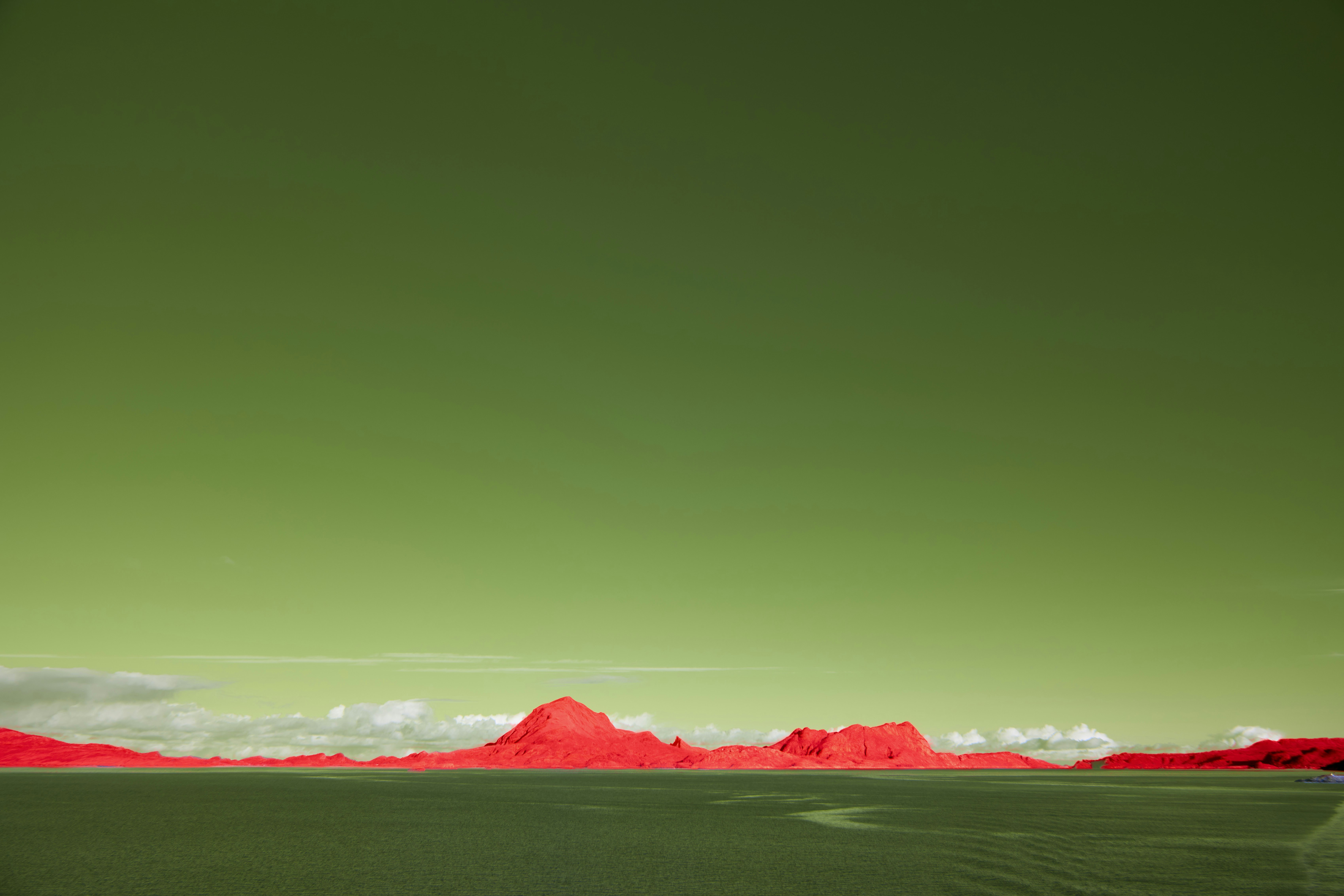 Photo by wolfgang_hasselmann