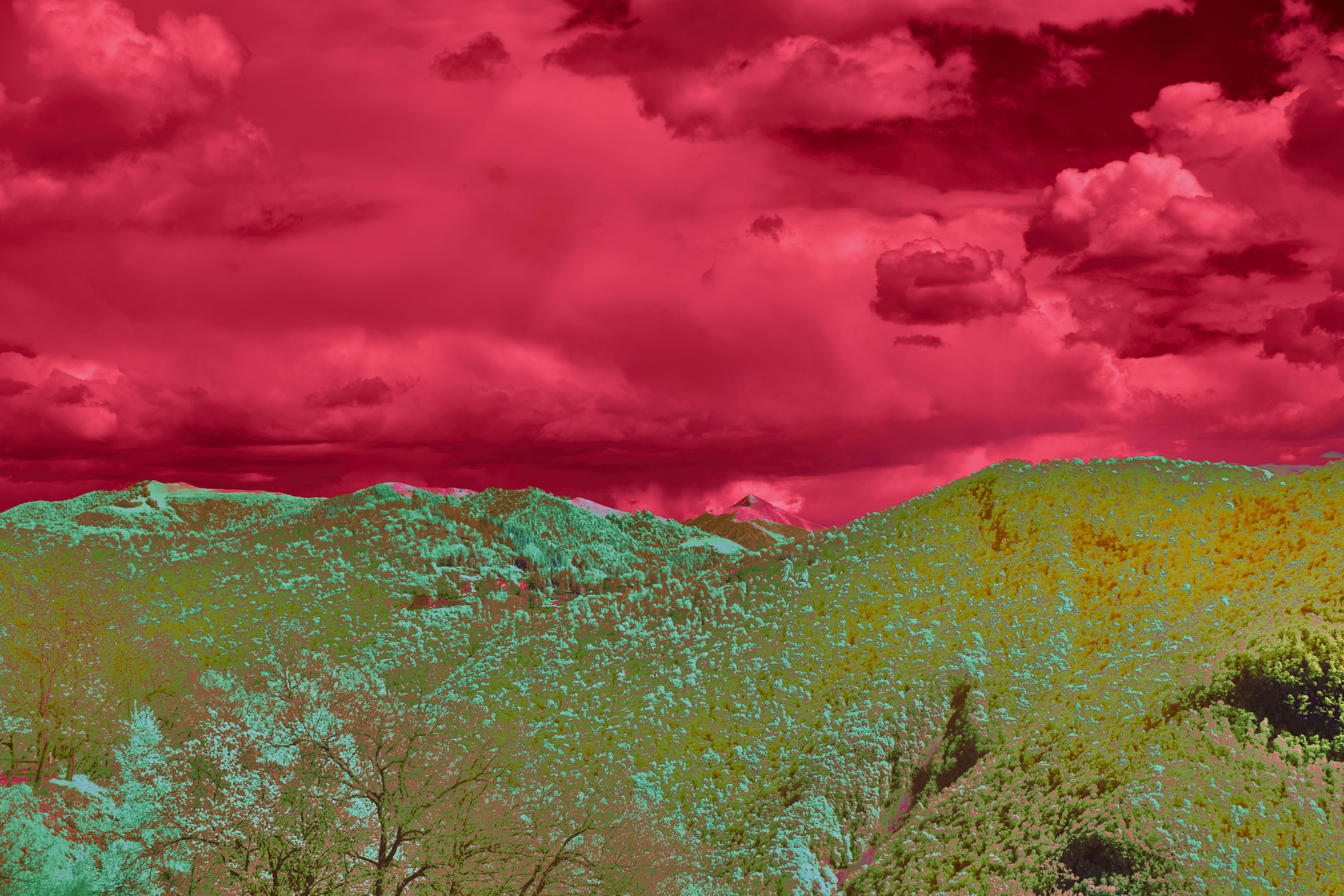 Photo by wolfgang_hasselmann