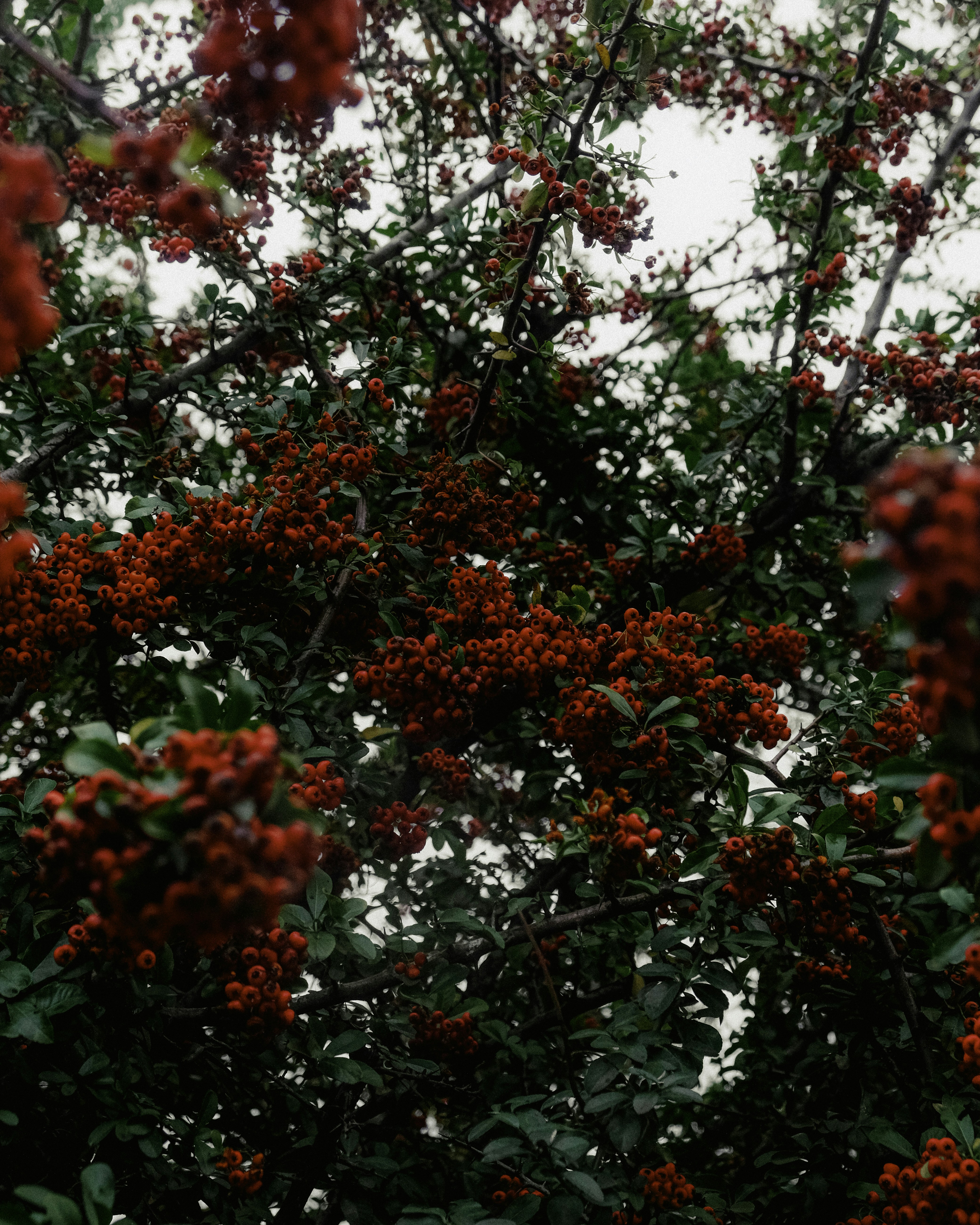 Photo by marishphoto