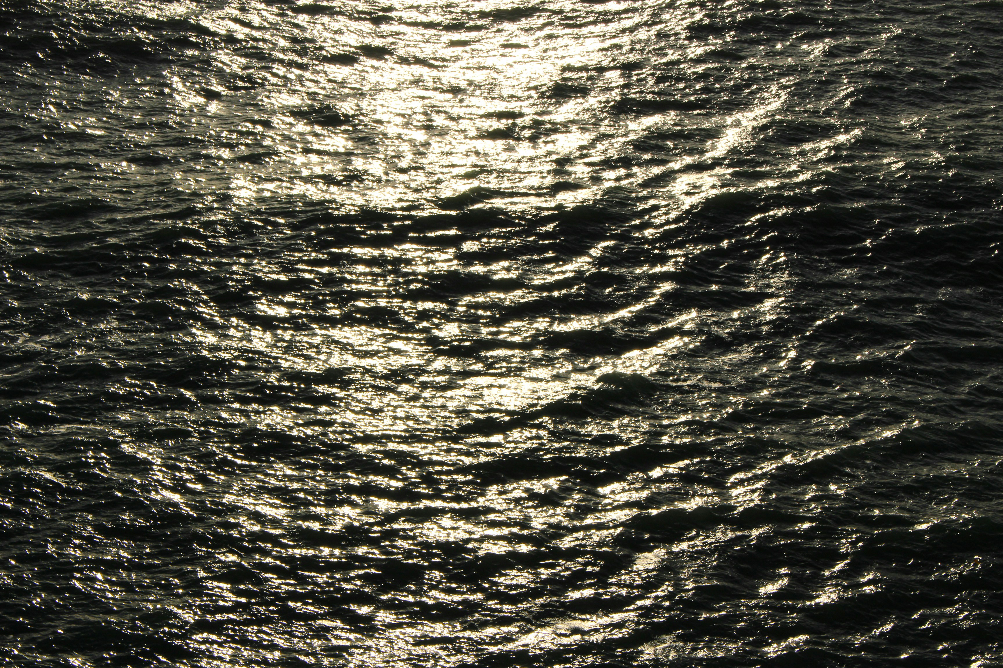 Photo by saracanonici