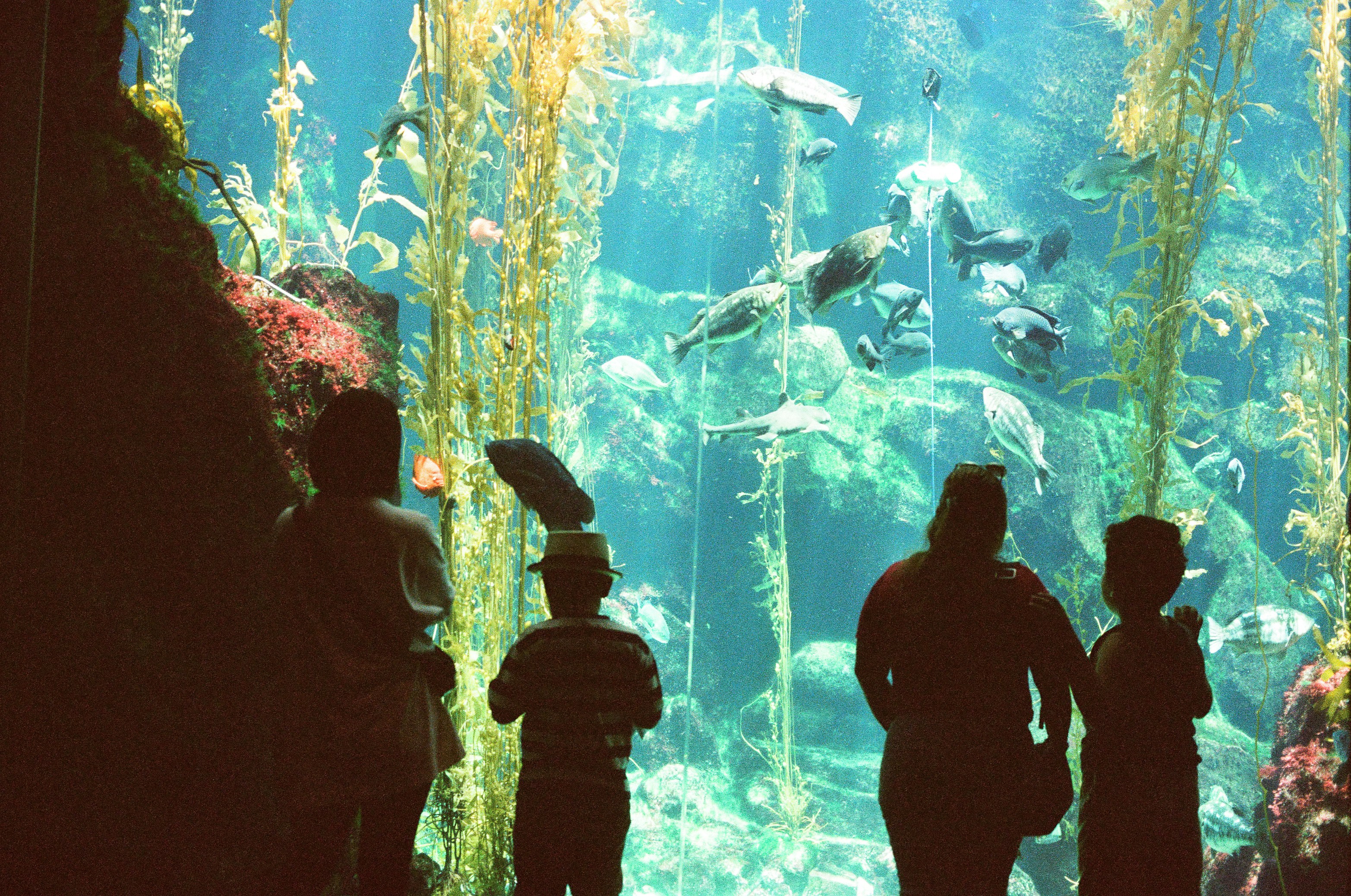 A group of people standing in front of an aquarium