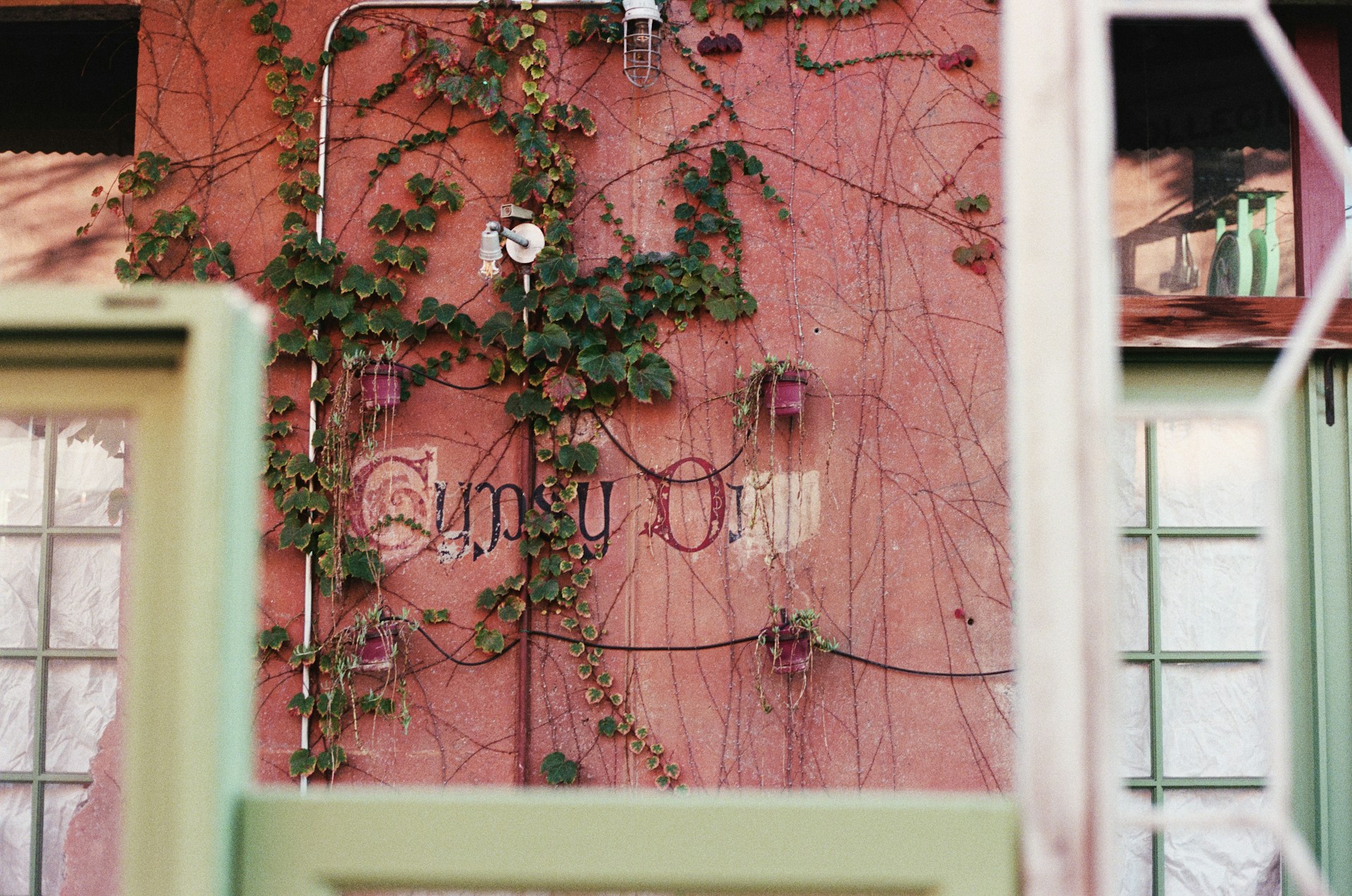 A pink building with vines growing on it