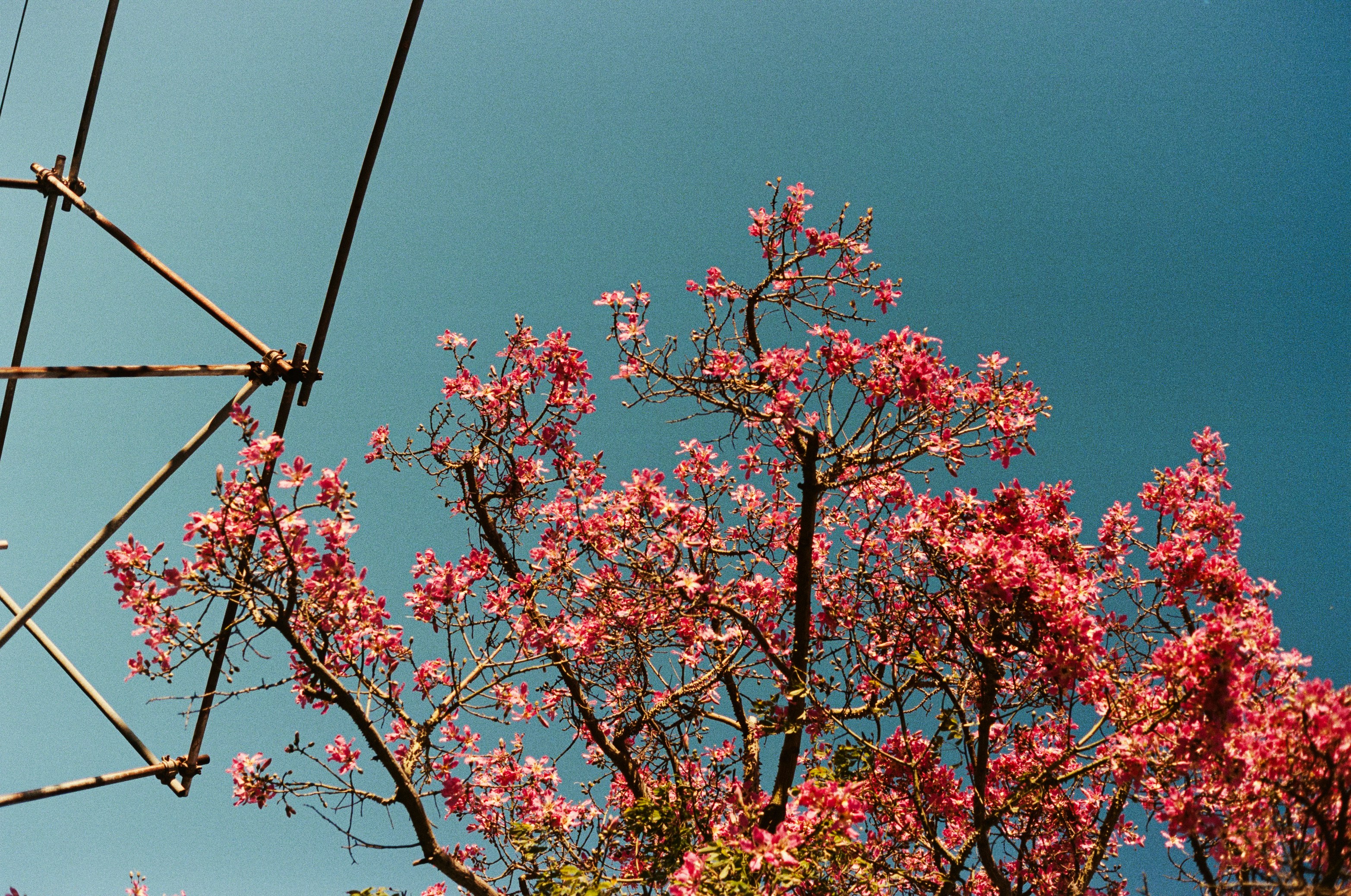 Costa Mesa cityscape
