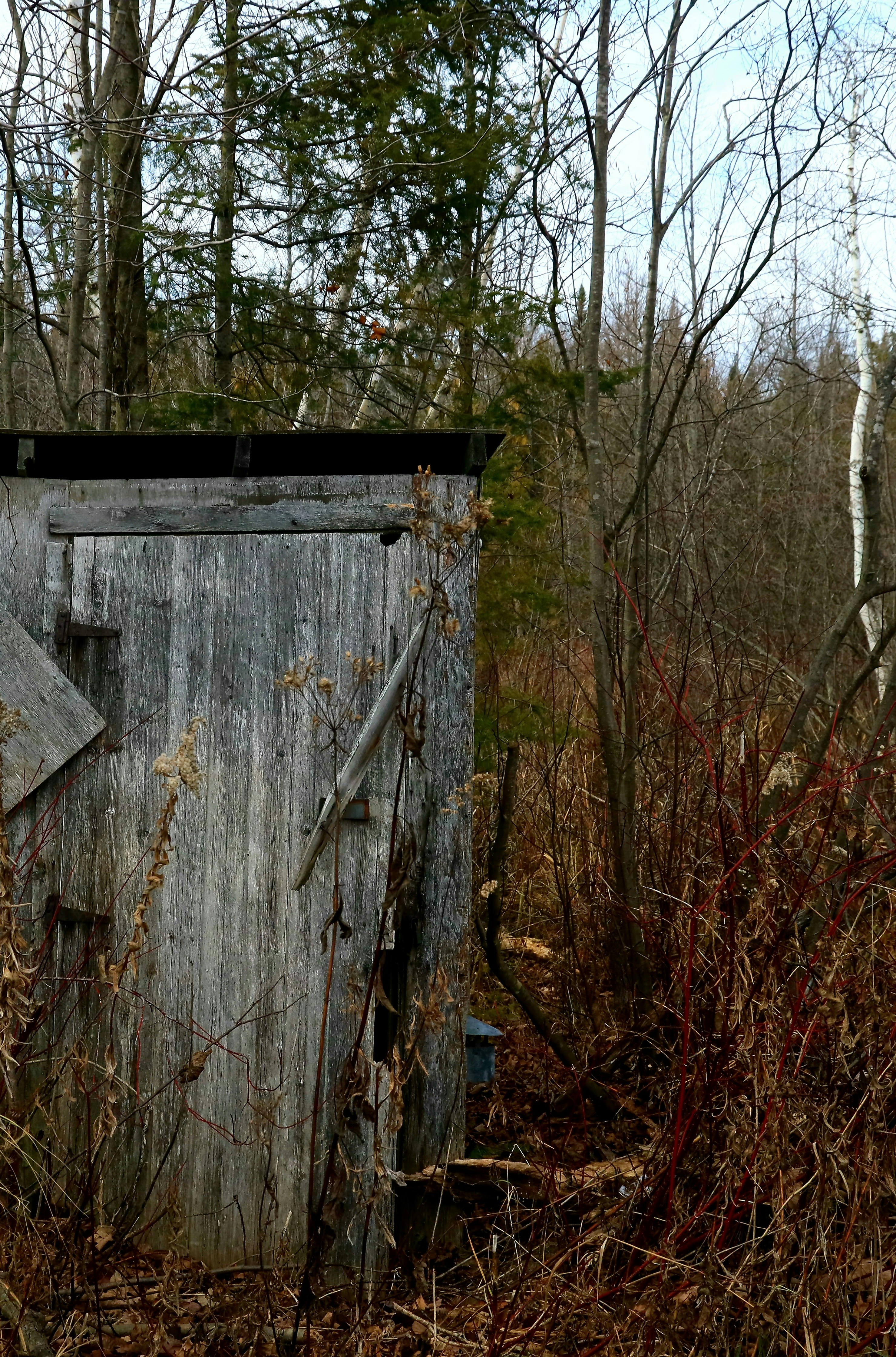 Photo by richardworks