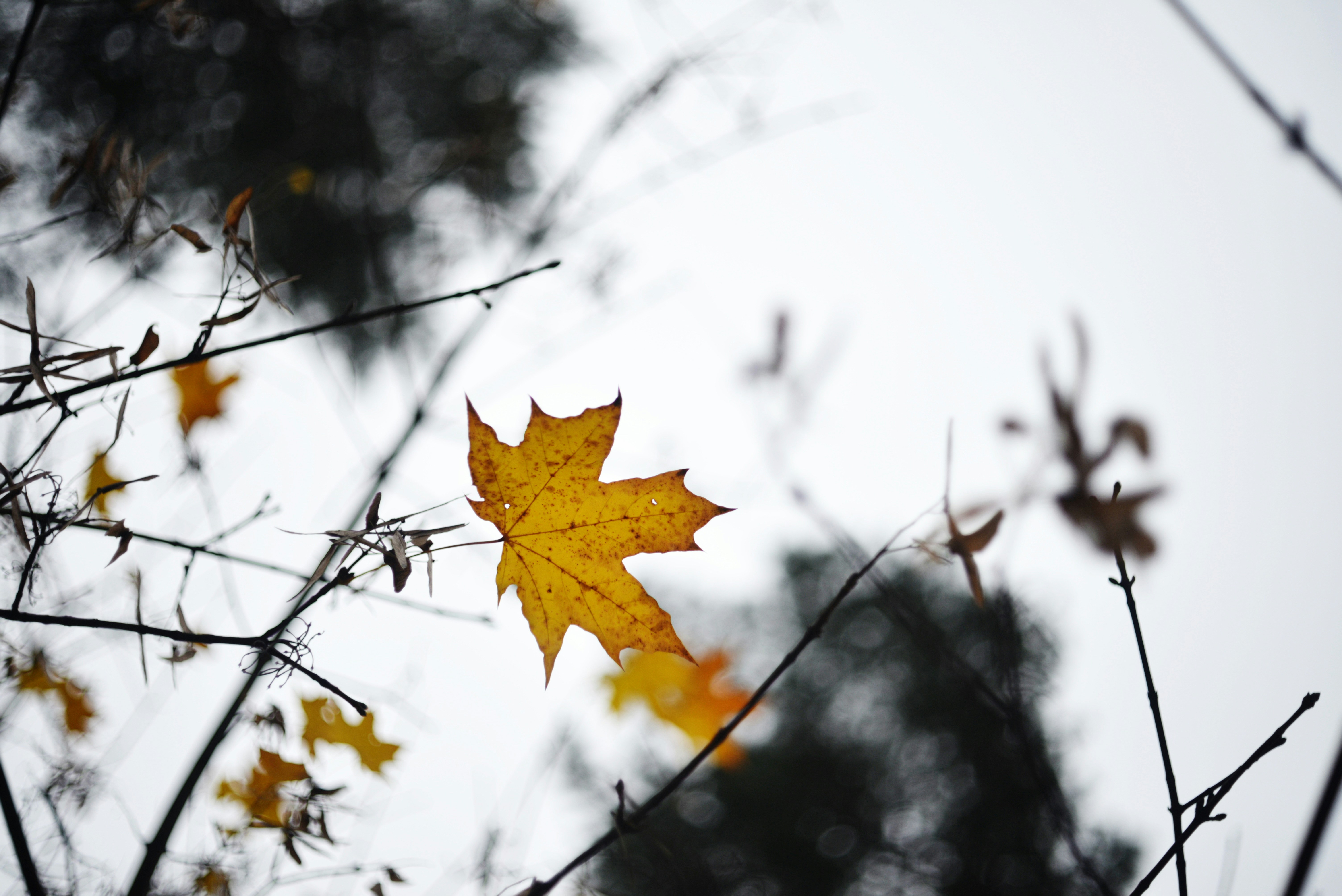 Photo by cherstve_pechivo