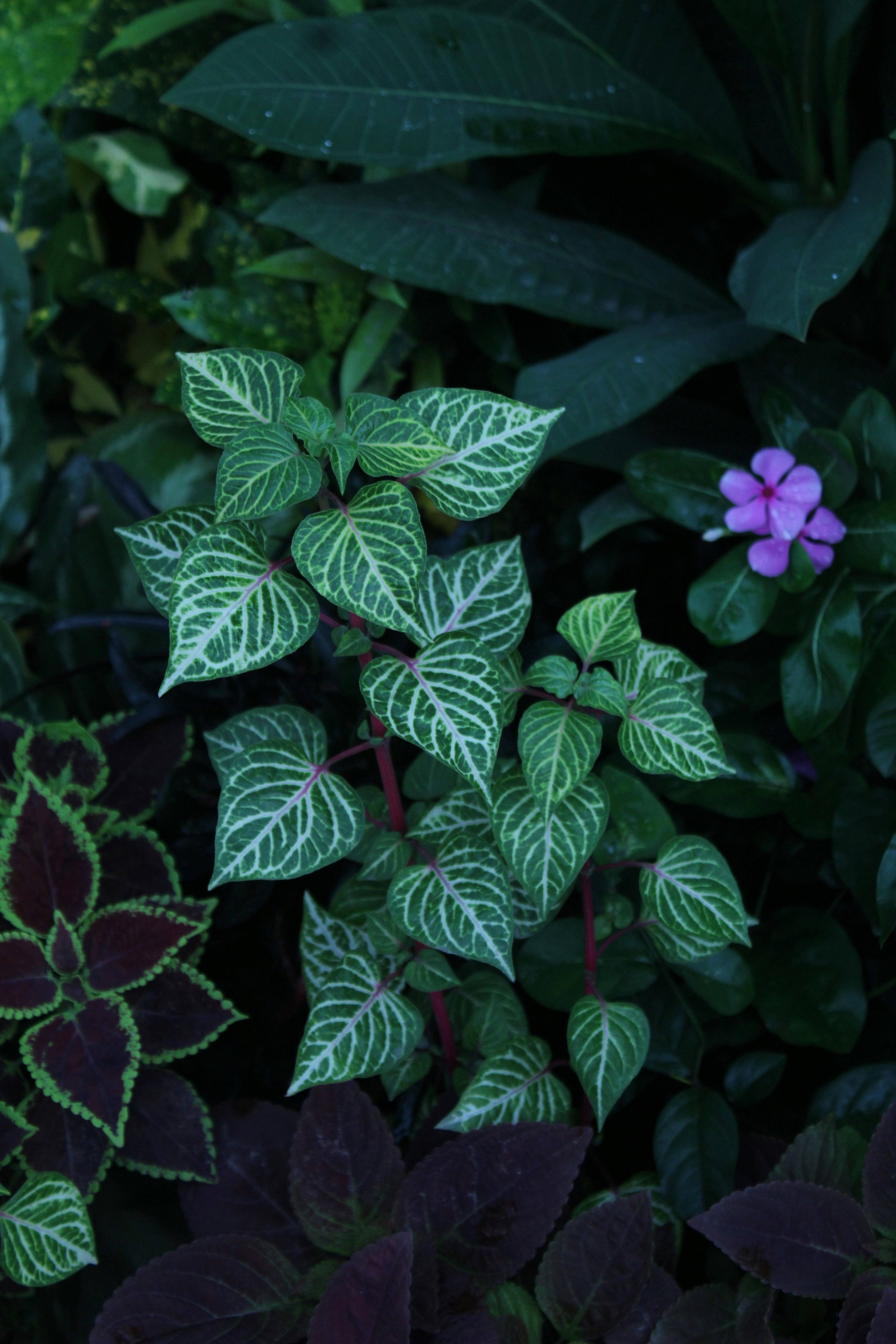 Photo by _afifajannat_