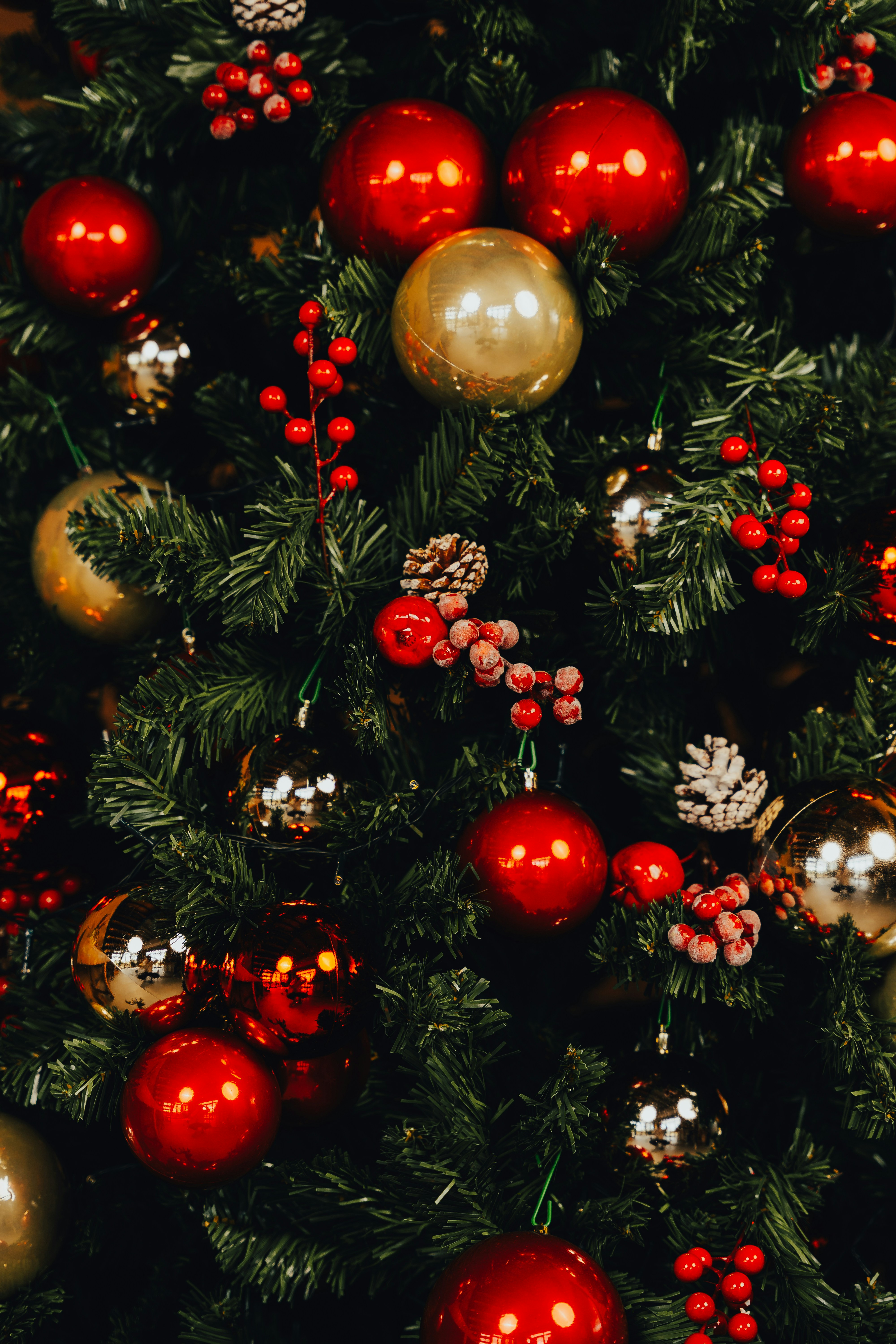 Photo by francesco_liotti