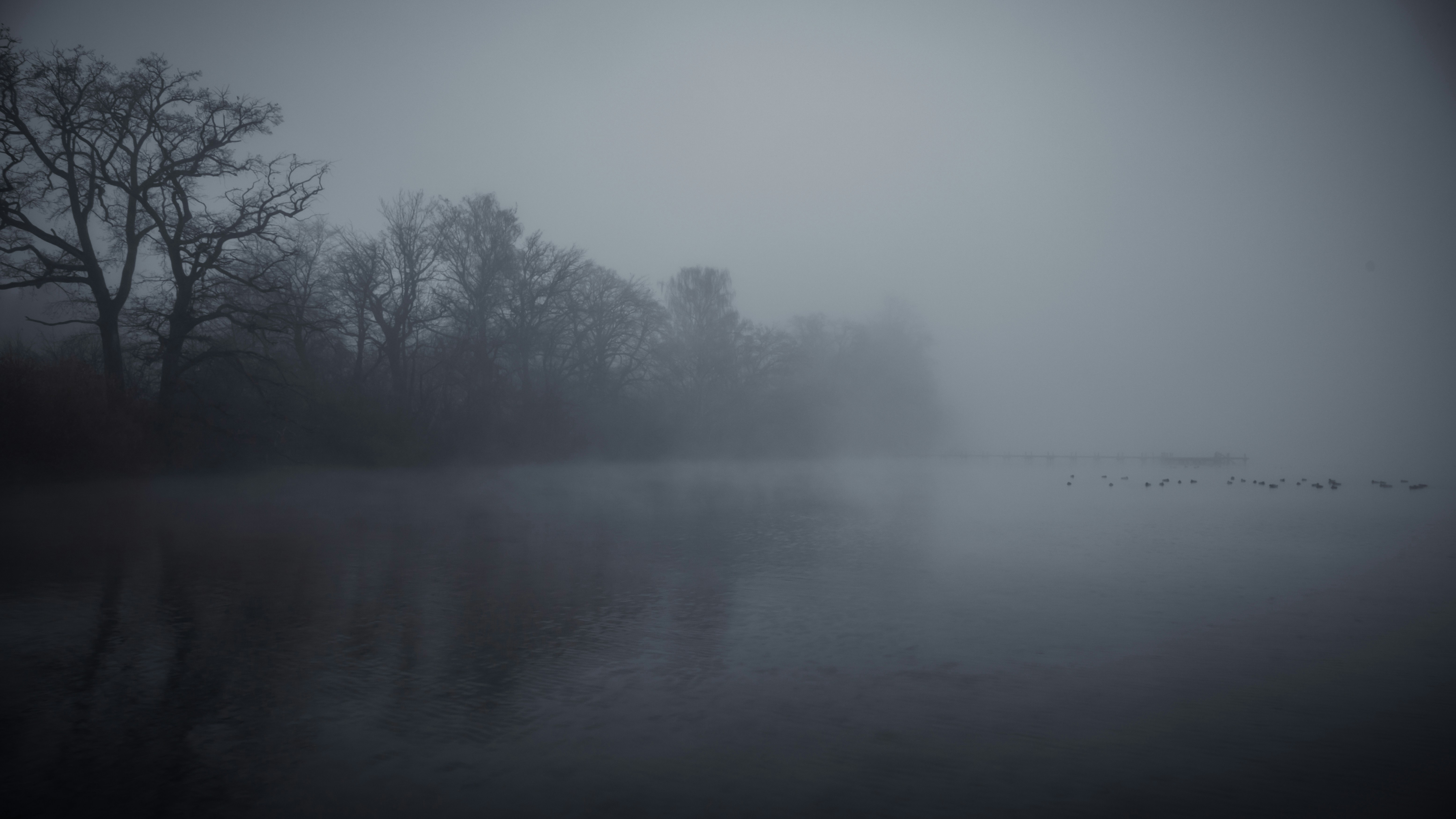 Photo by shutter_speed_