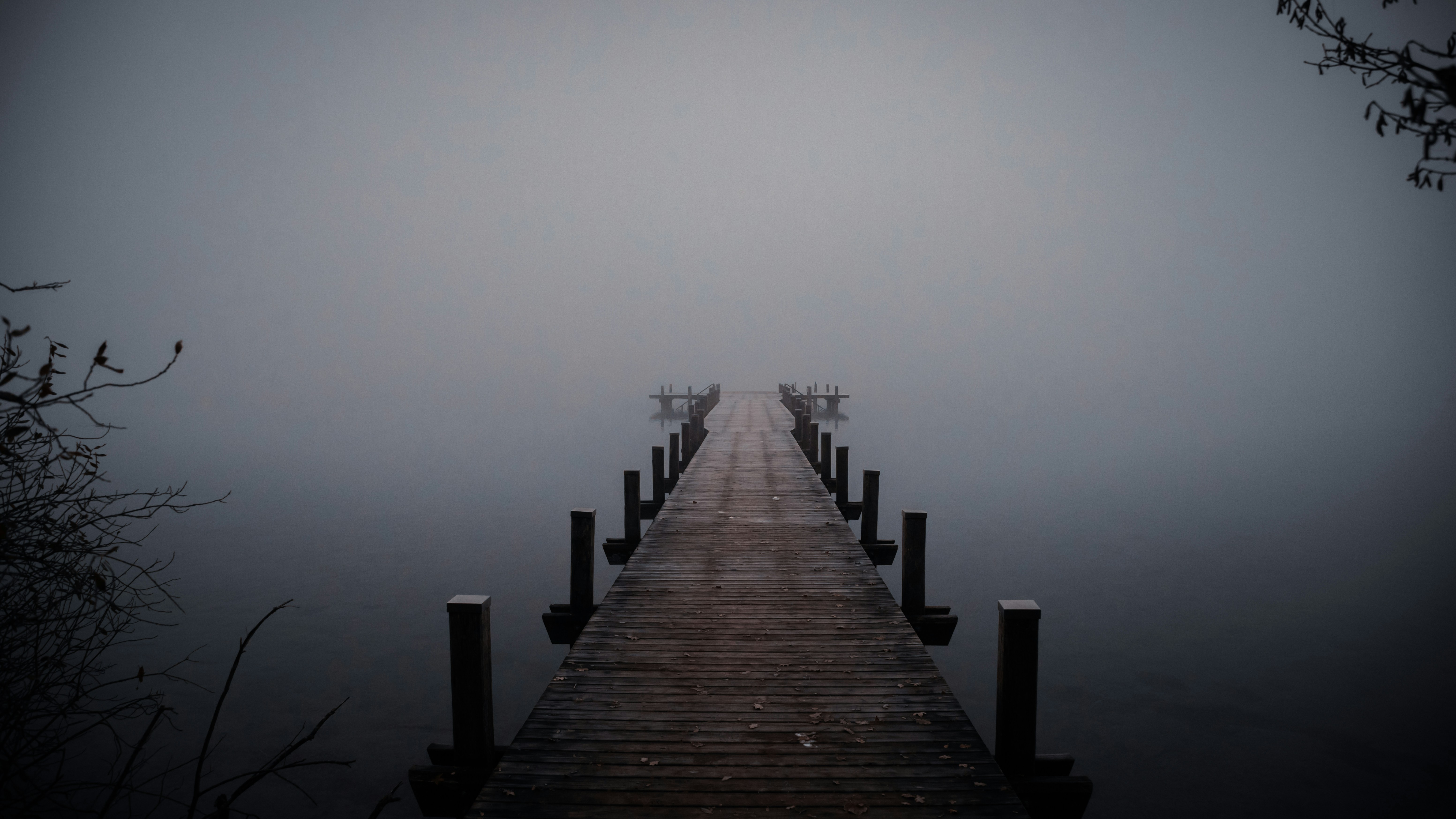 Photo by shutter_speed_