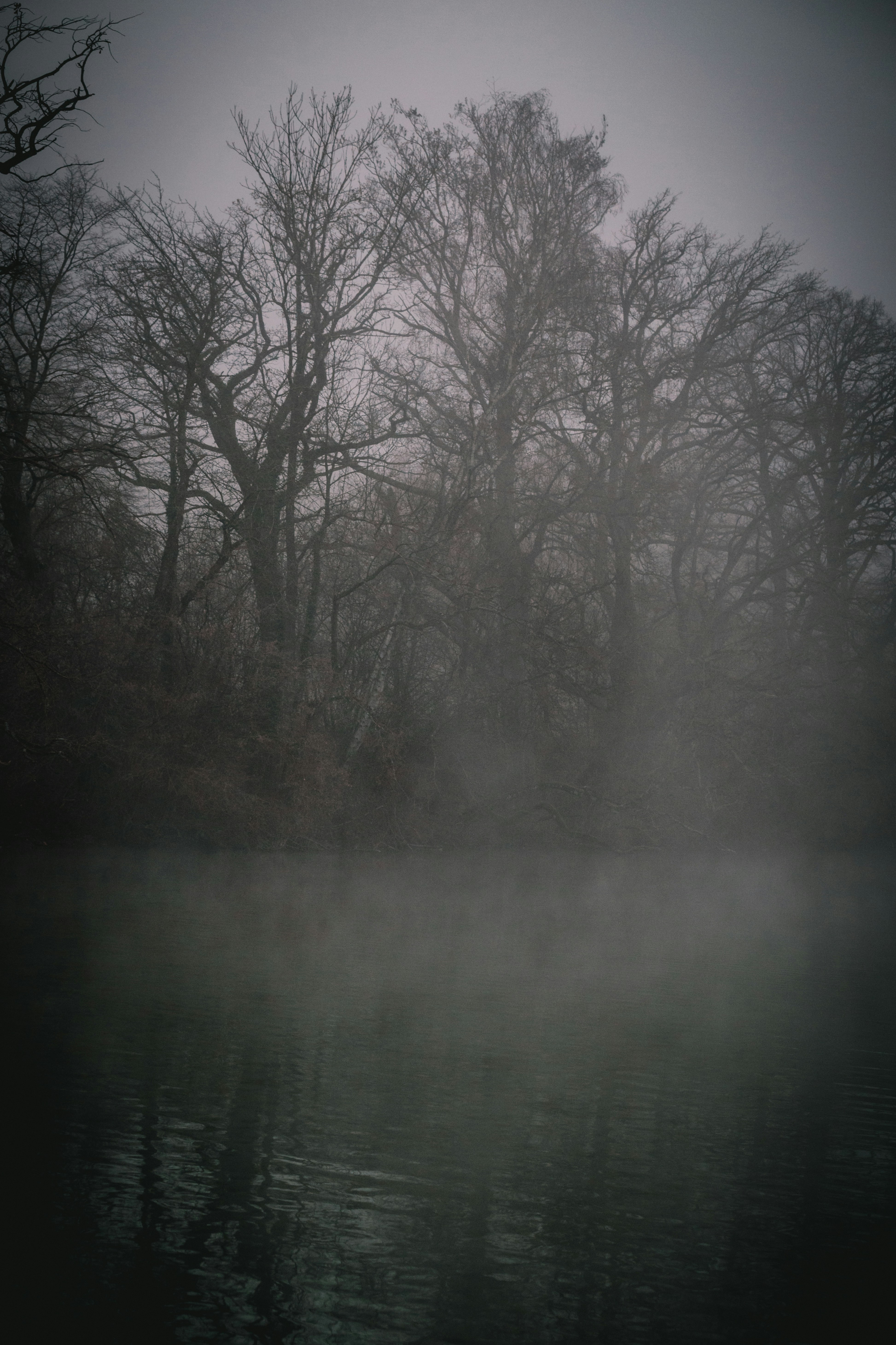 Photo by shutter_speed_