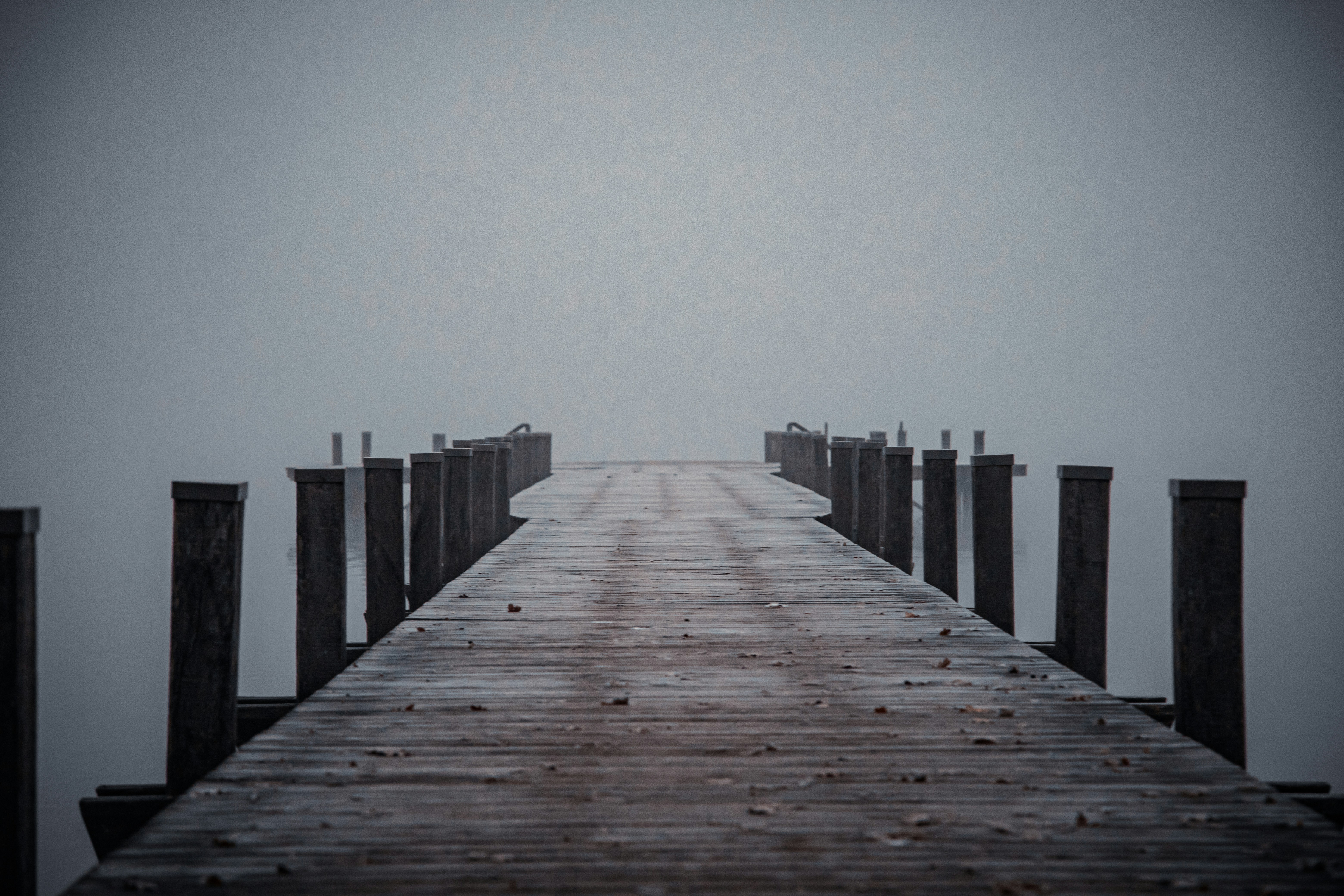 Photo by shutter_speed_