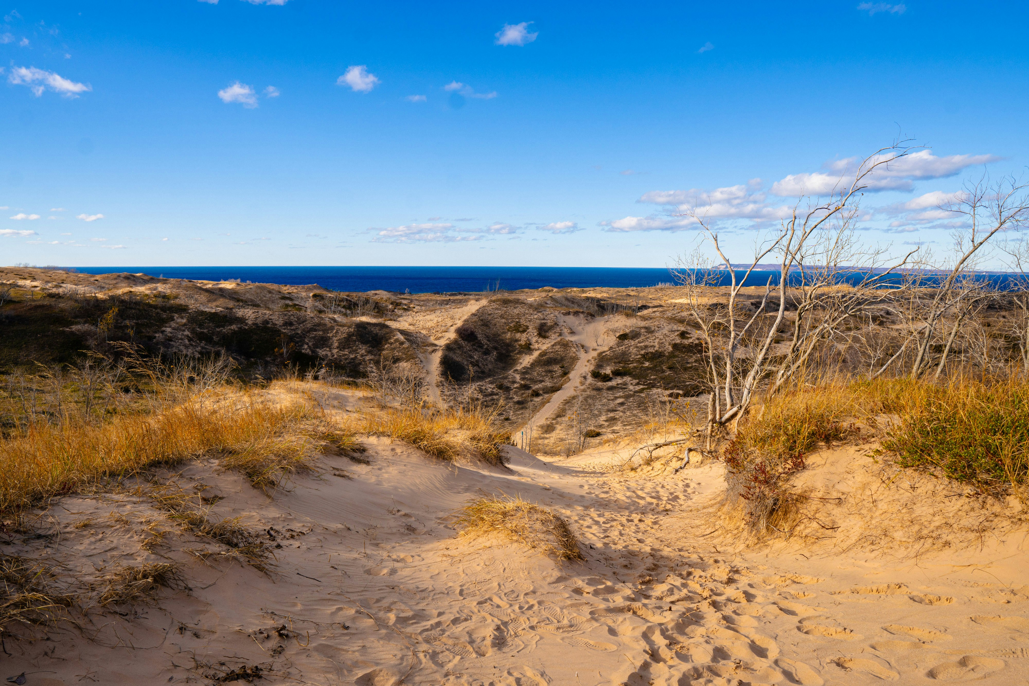 Ein sandiger Weg, der an einem sonnigen Tag zum Meer führt