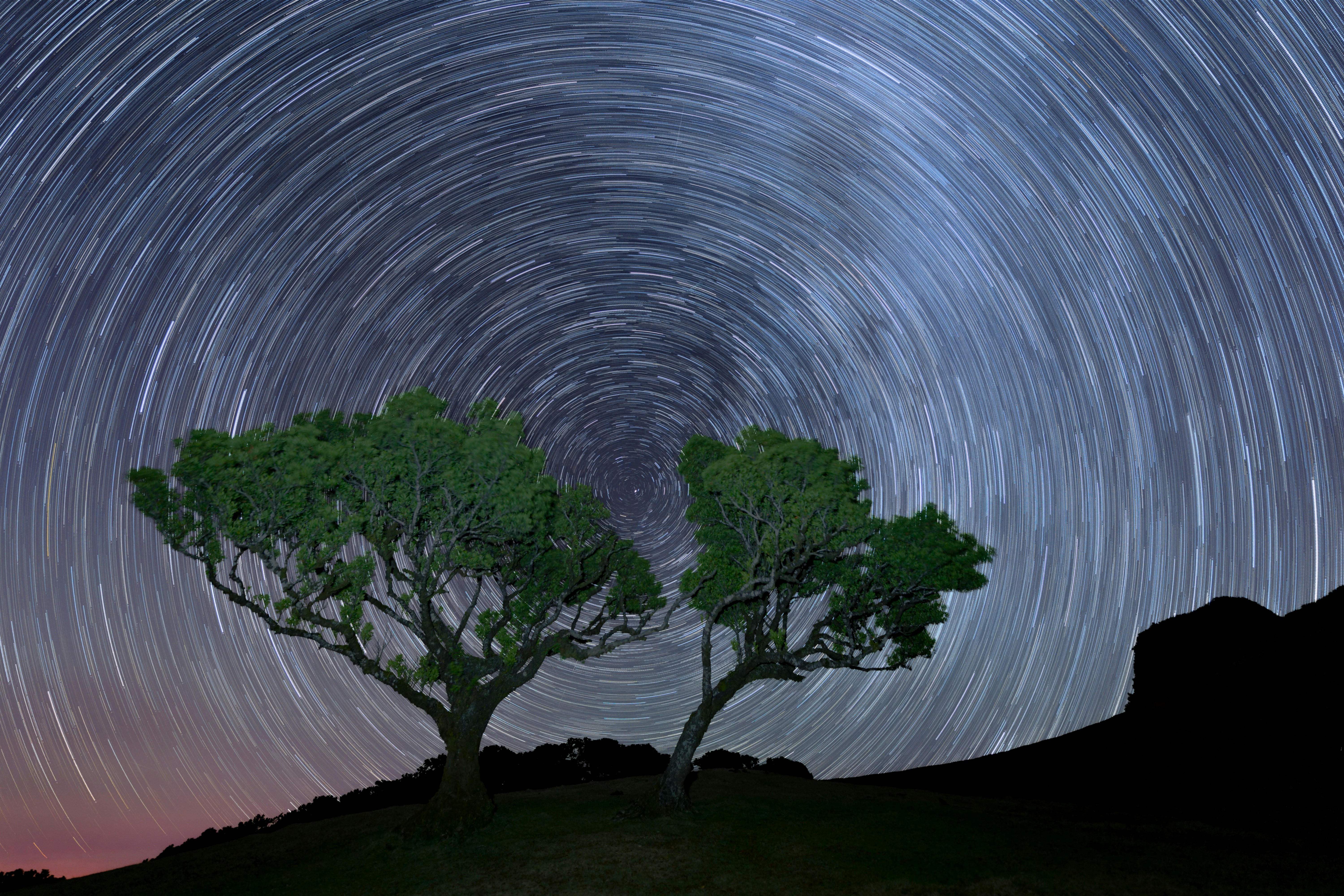 전자금융거래의 정의와 그 중요성