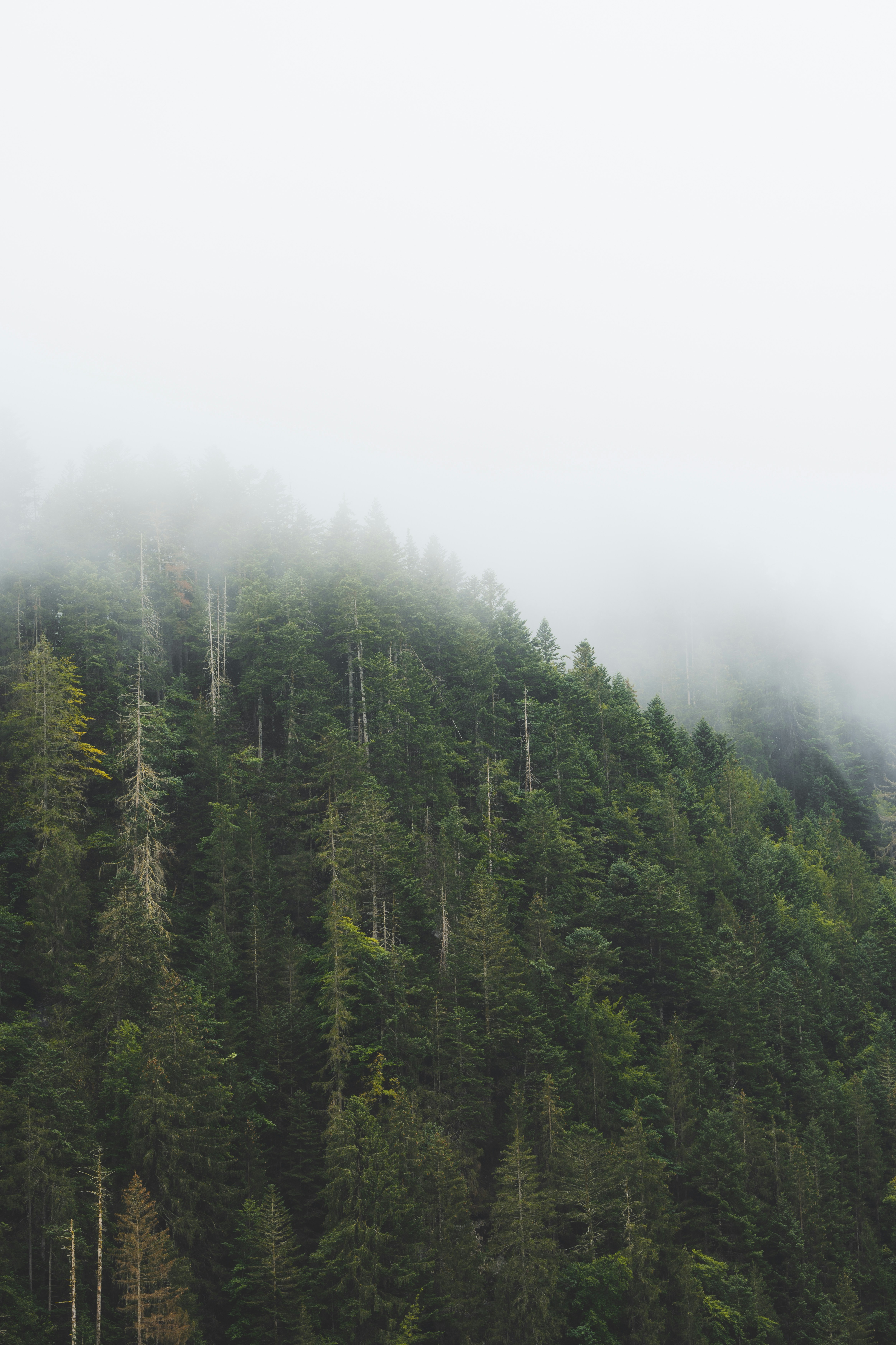 Photo by martin_masson