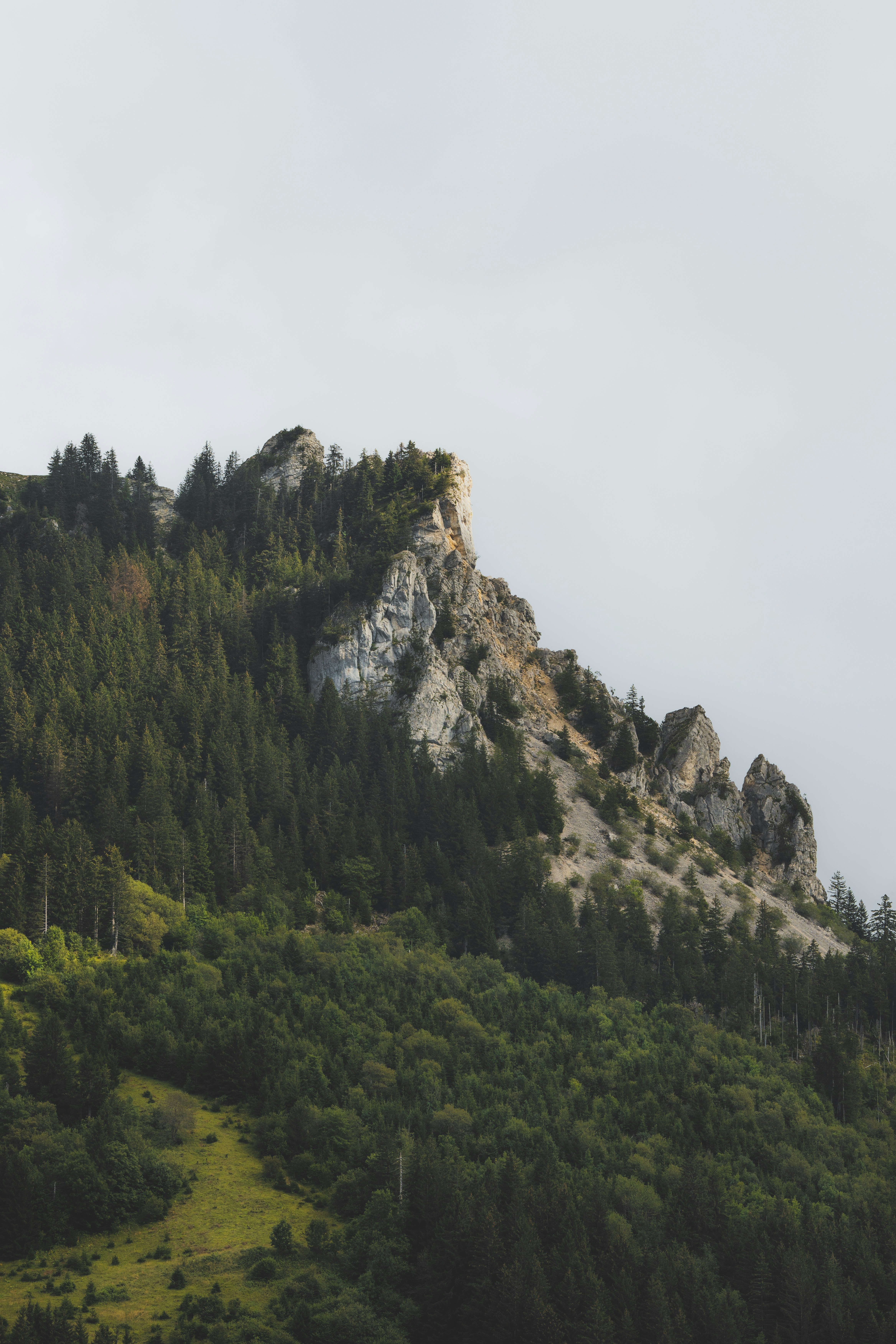 Photo by martin_masson