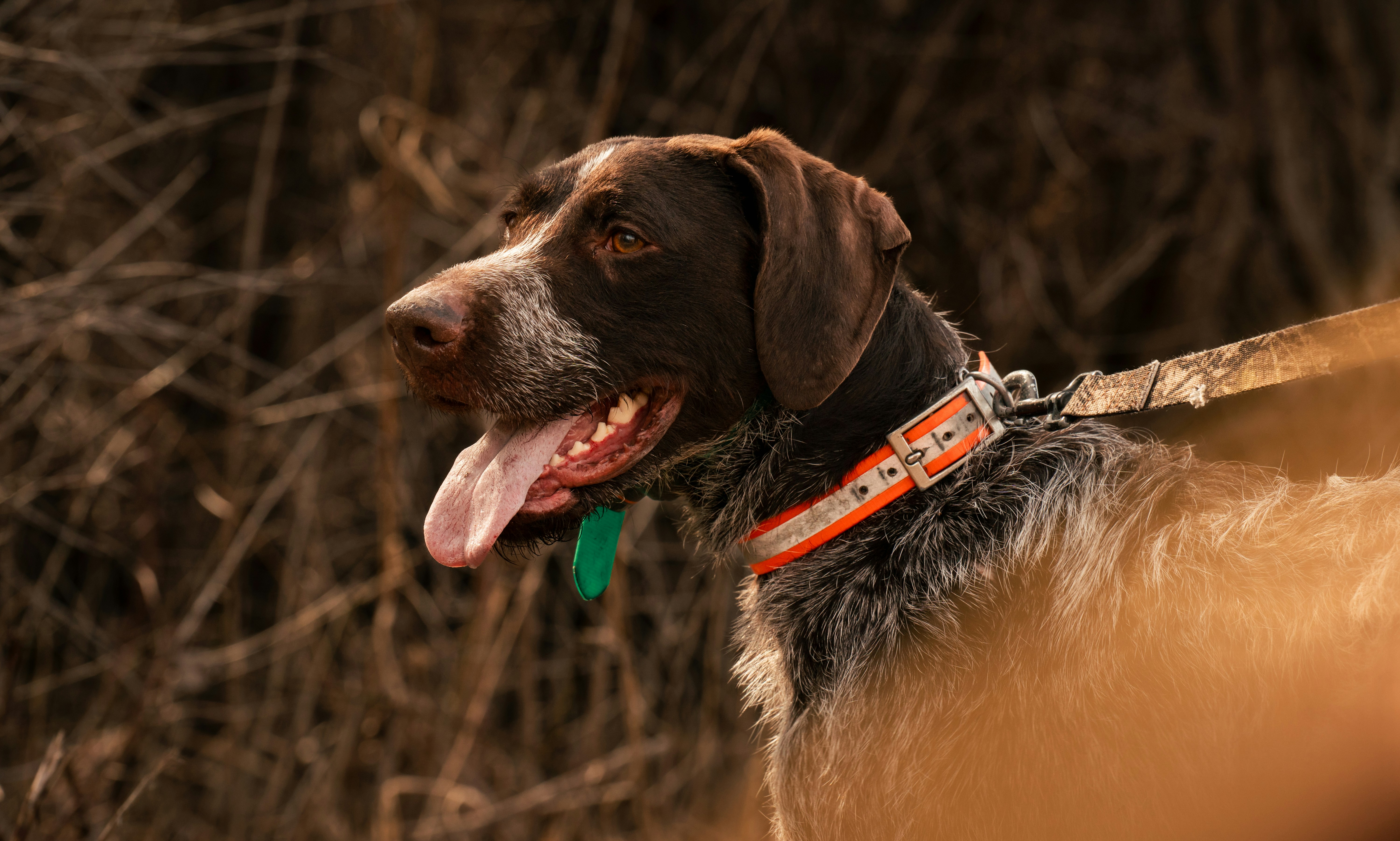 Photo by iprefermike