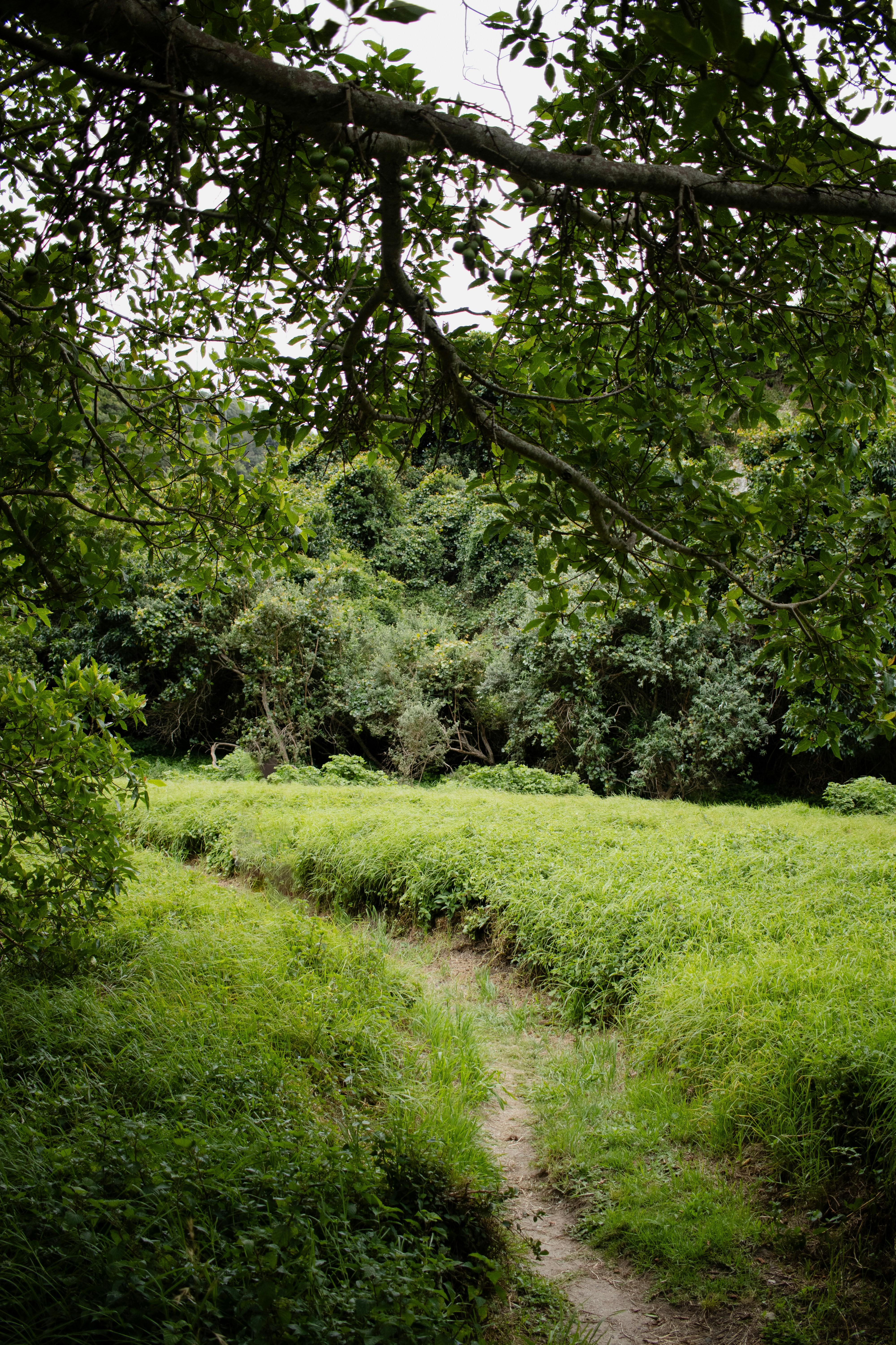 Photo by ashford_marx