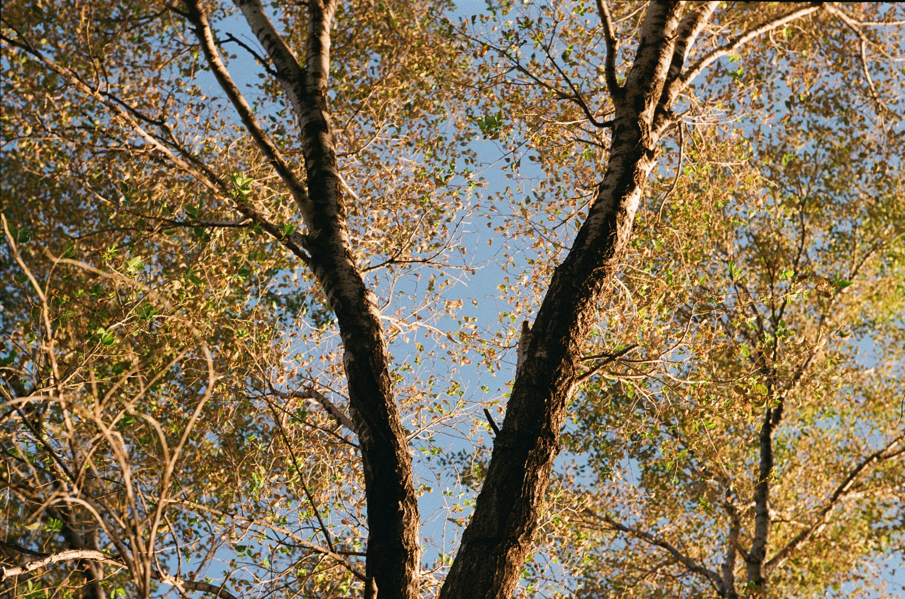 Photo by mouldy_coffee