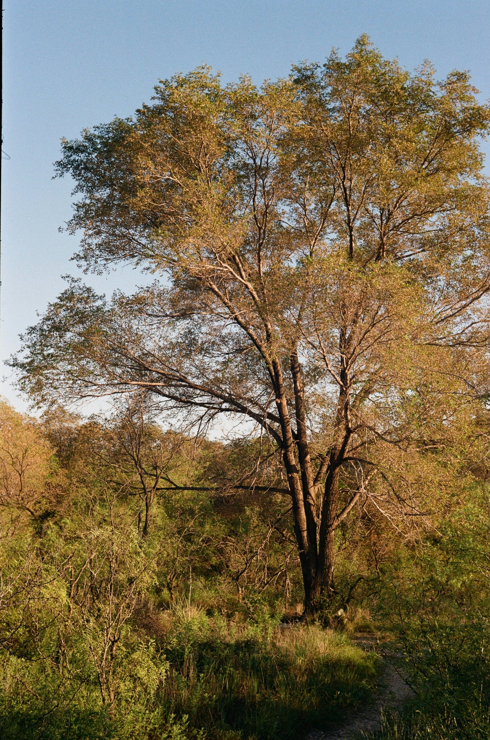 Photo by mouldy_coffee