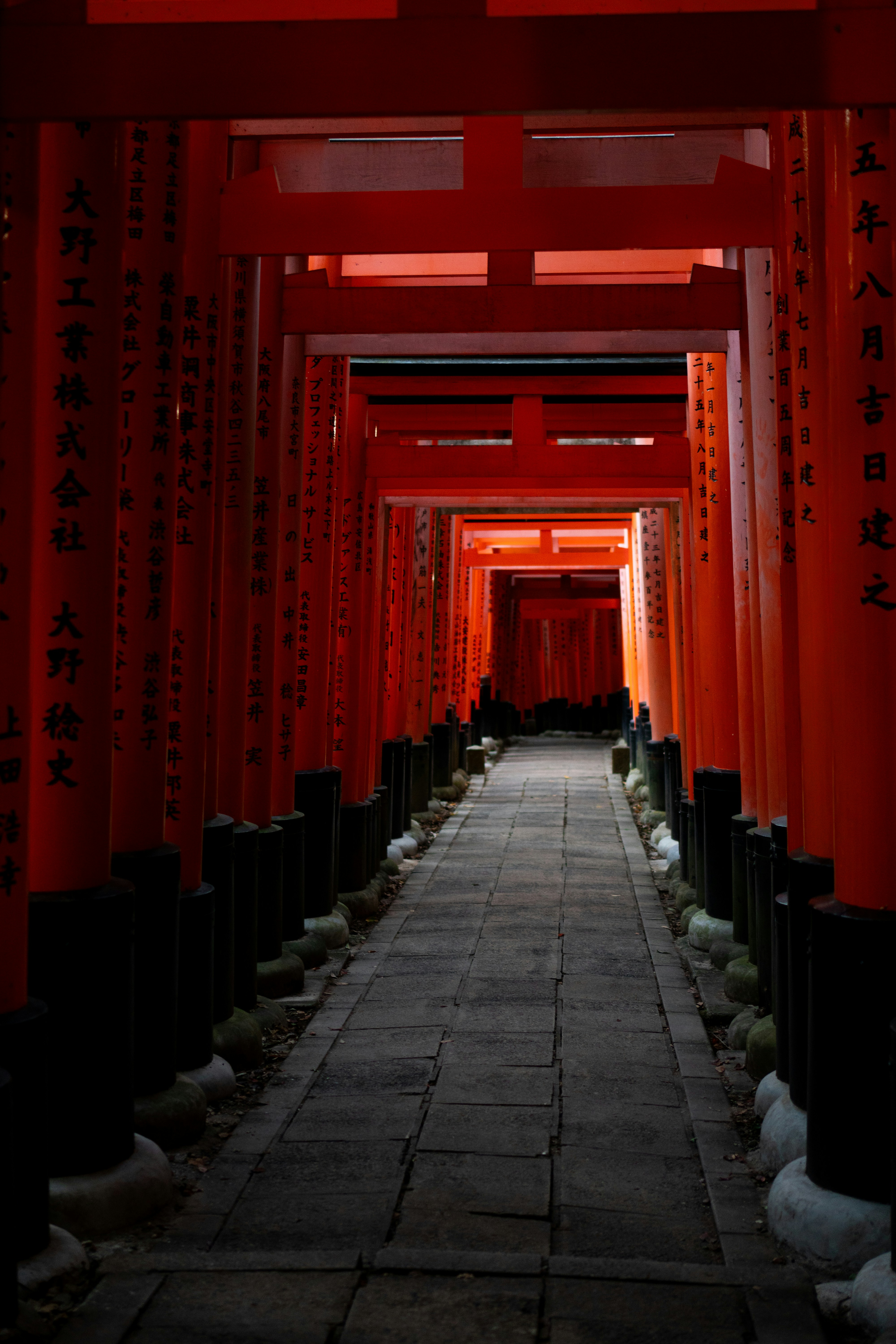 Photo by ivannavinni