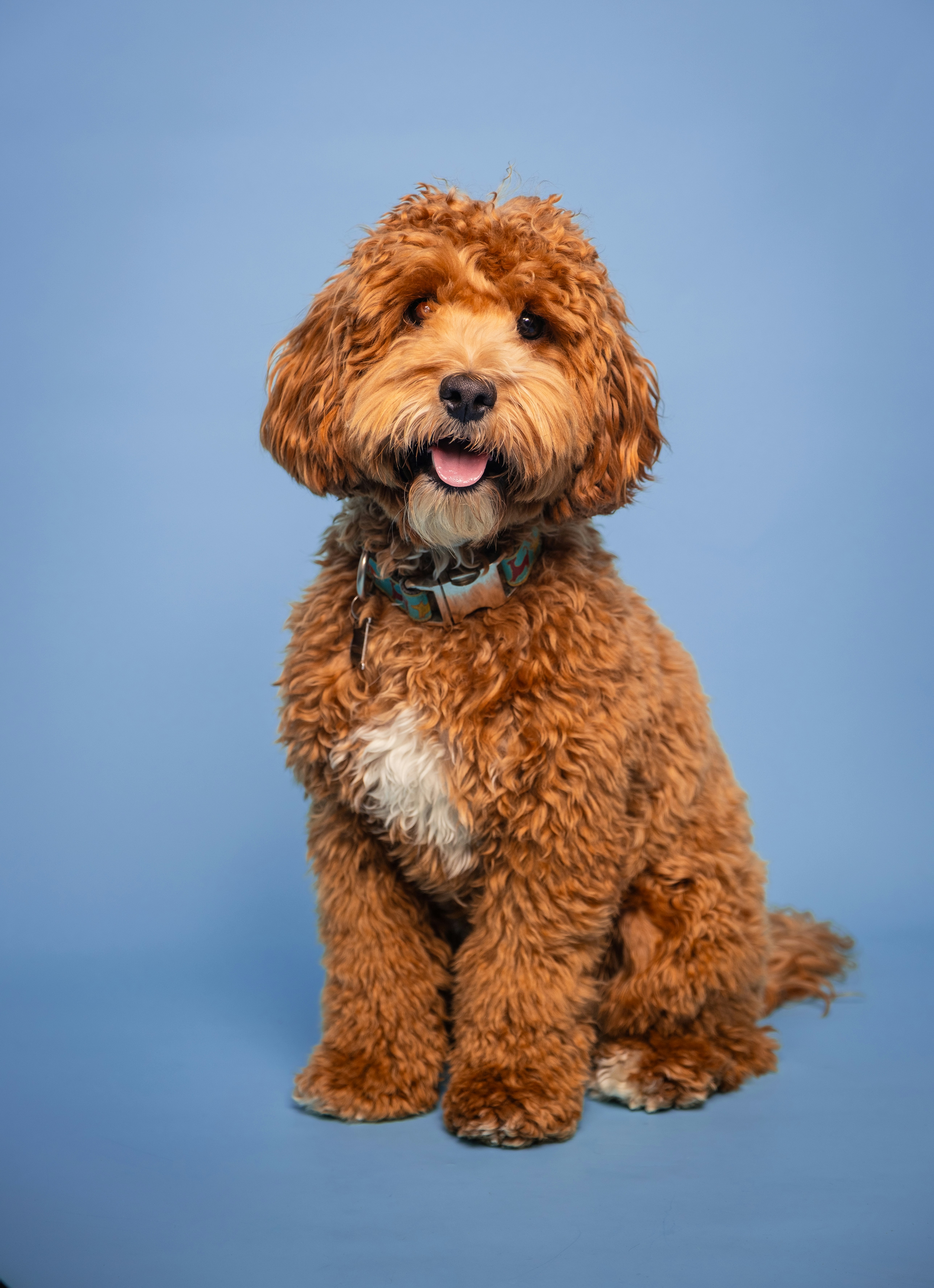 Photo by sokol_gallery