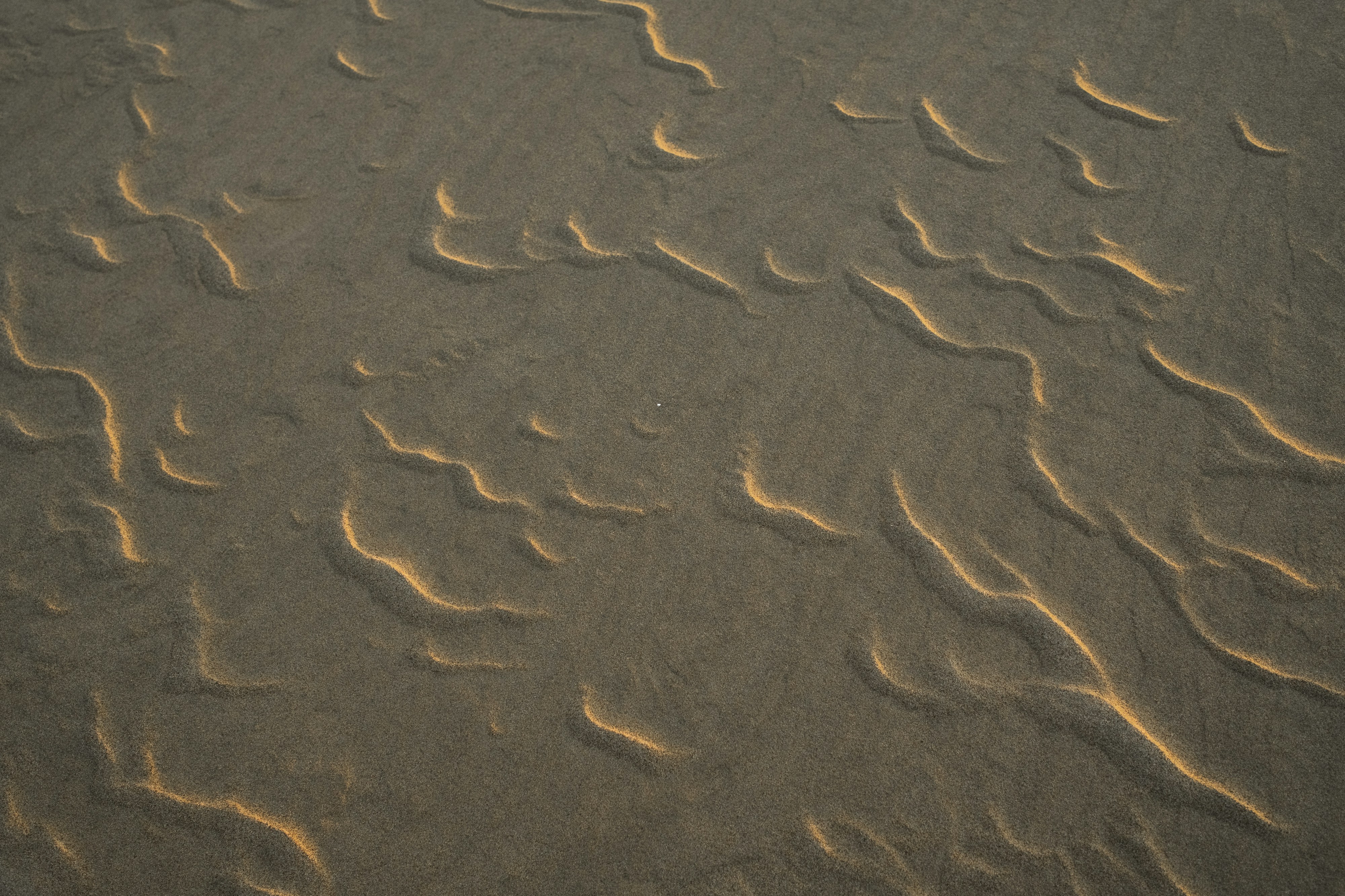 콘덴싱보일러와 일반보일러의 차이점: 어떤 보일러를 선택해야 할까?