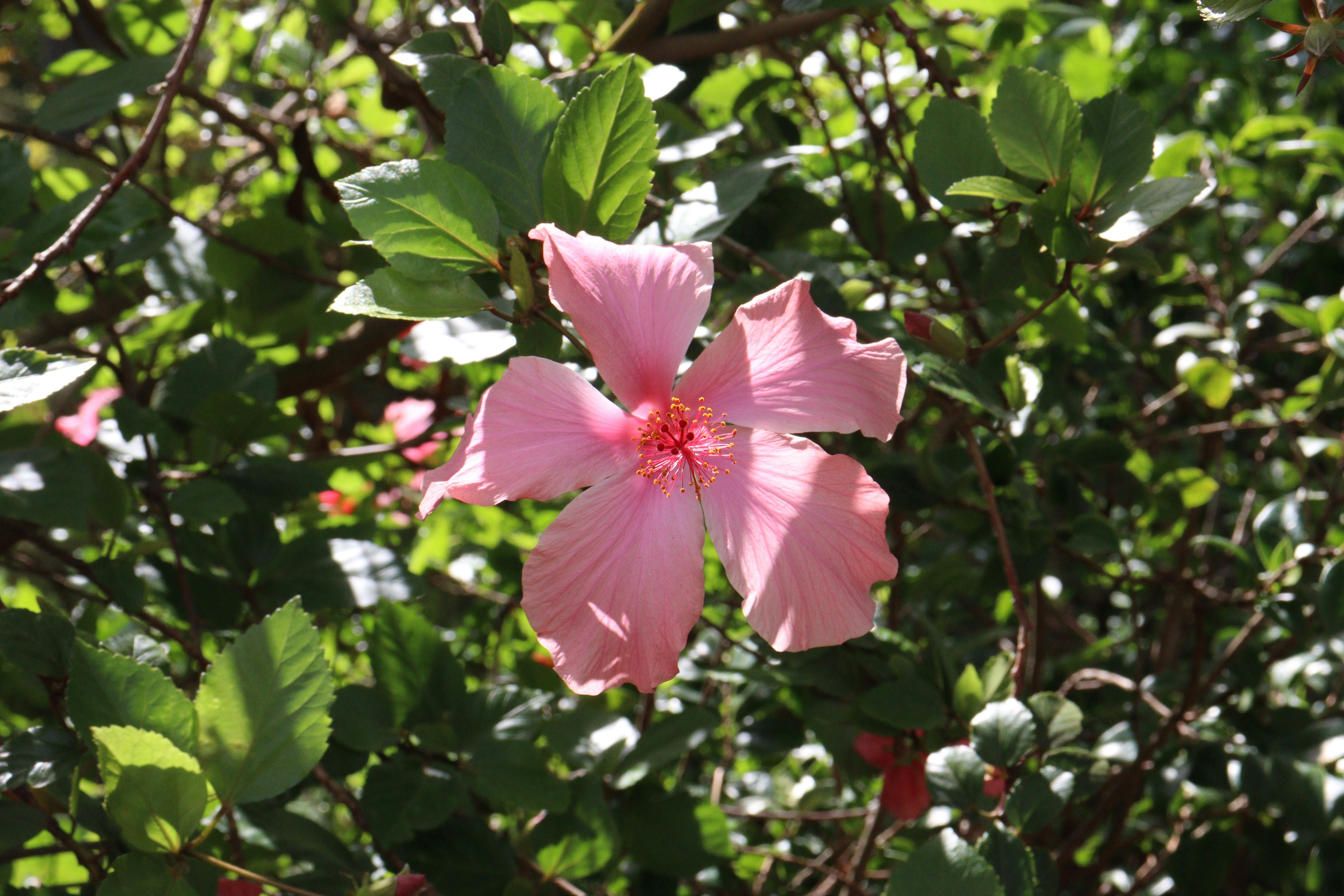 Photo by stratiev_1974