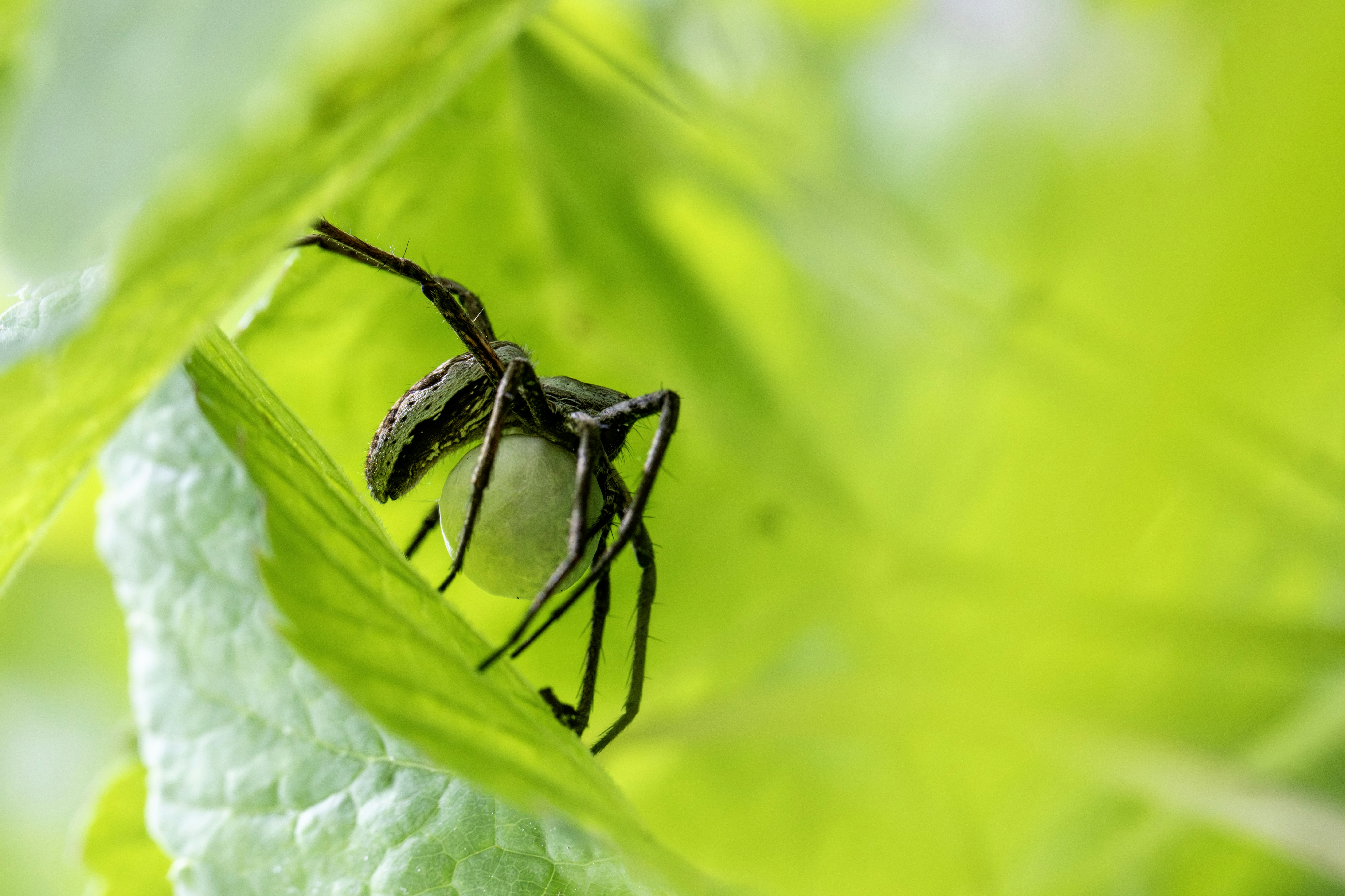 Photo by erik_karits