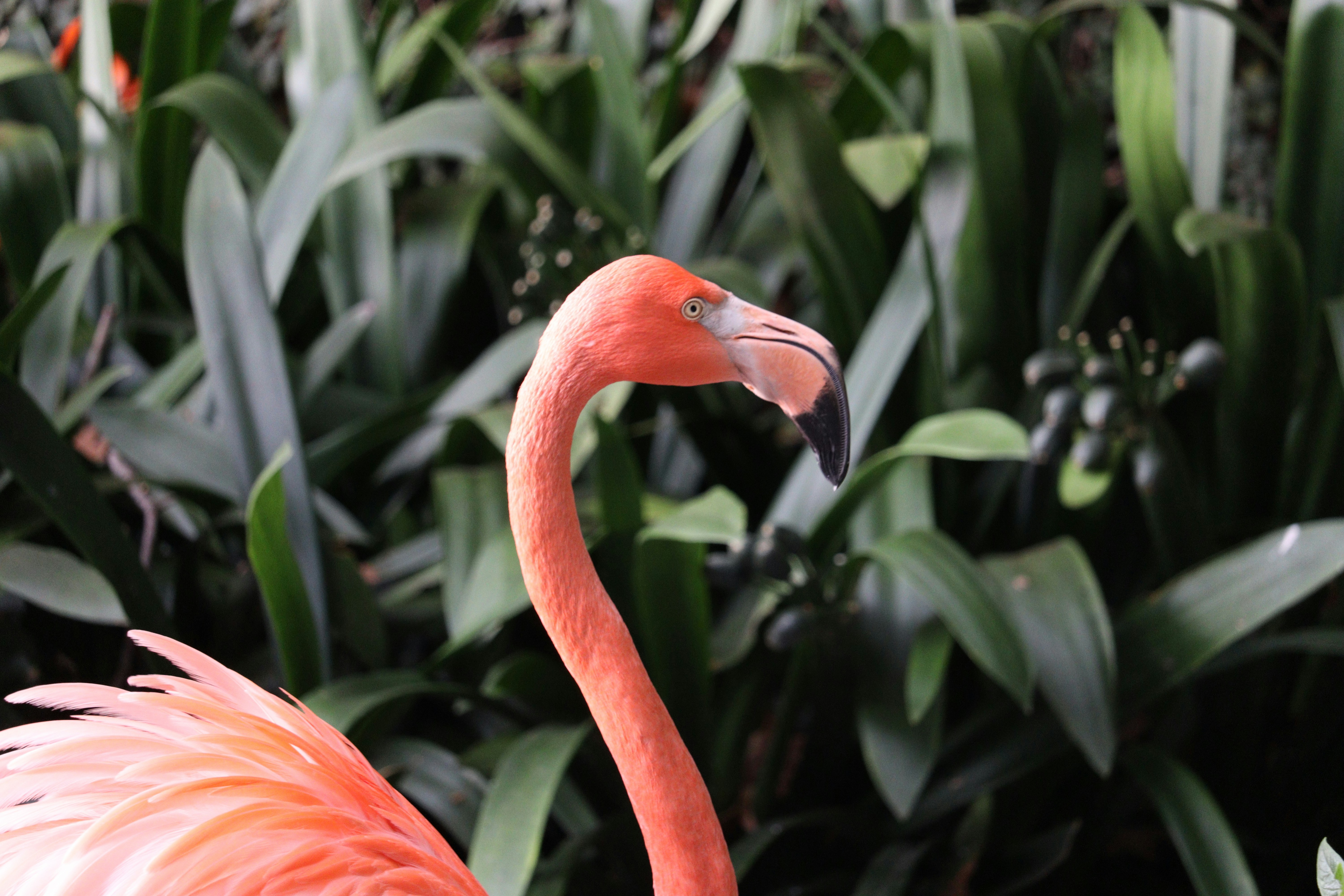 Photo by stratiev_1974