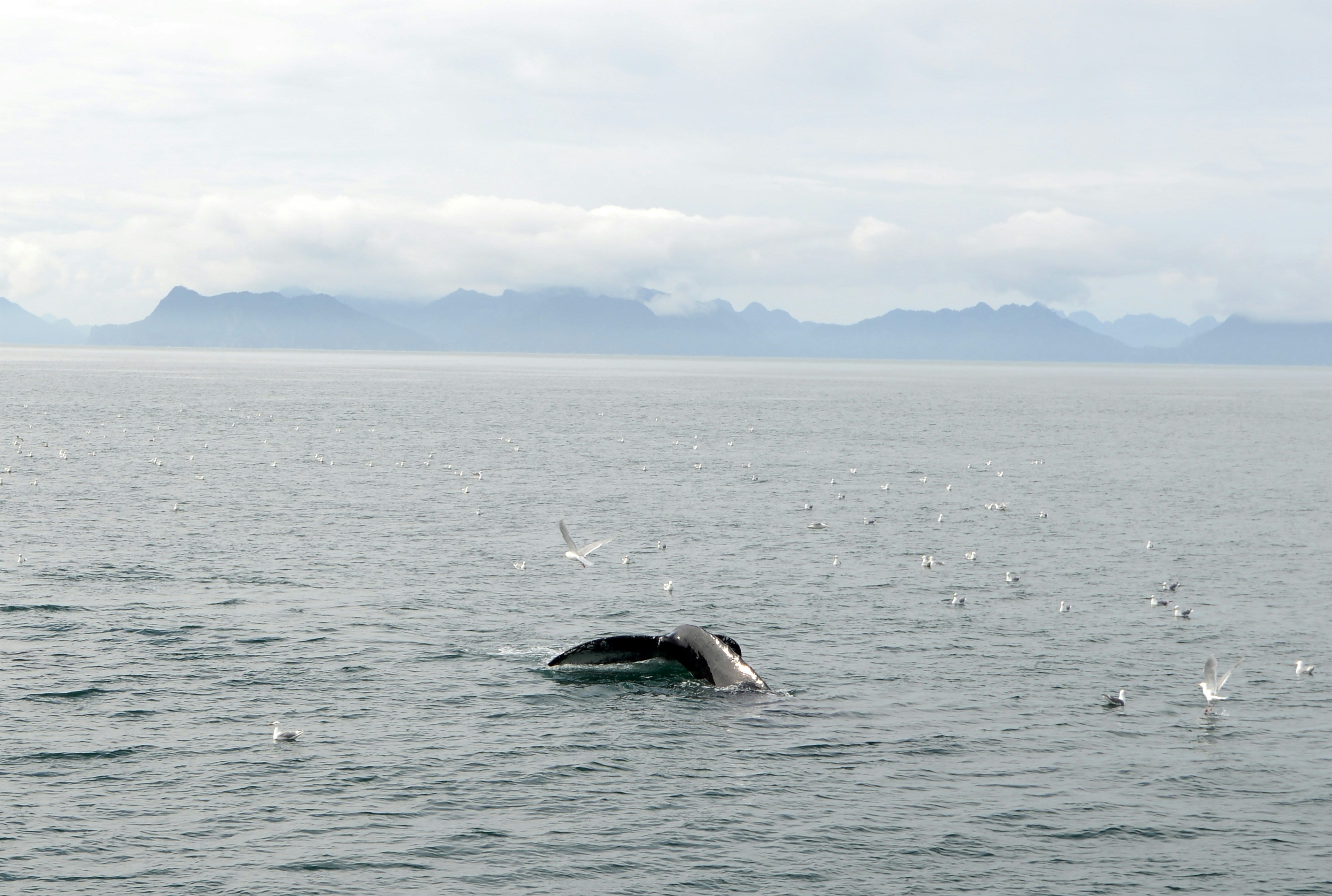 Human Interactions: Ancient Bonds and Modern Challenges (image credits: unsplash)