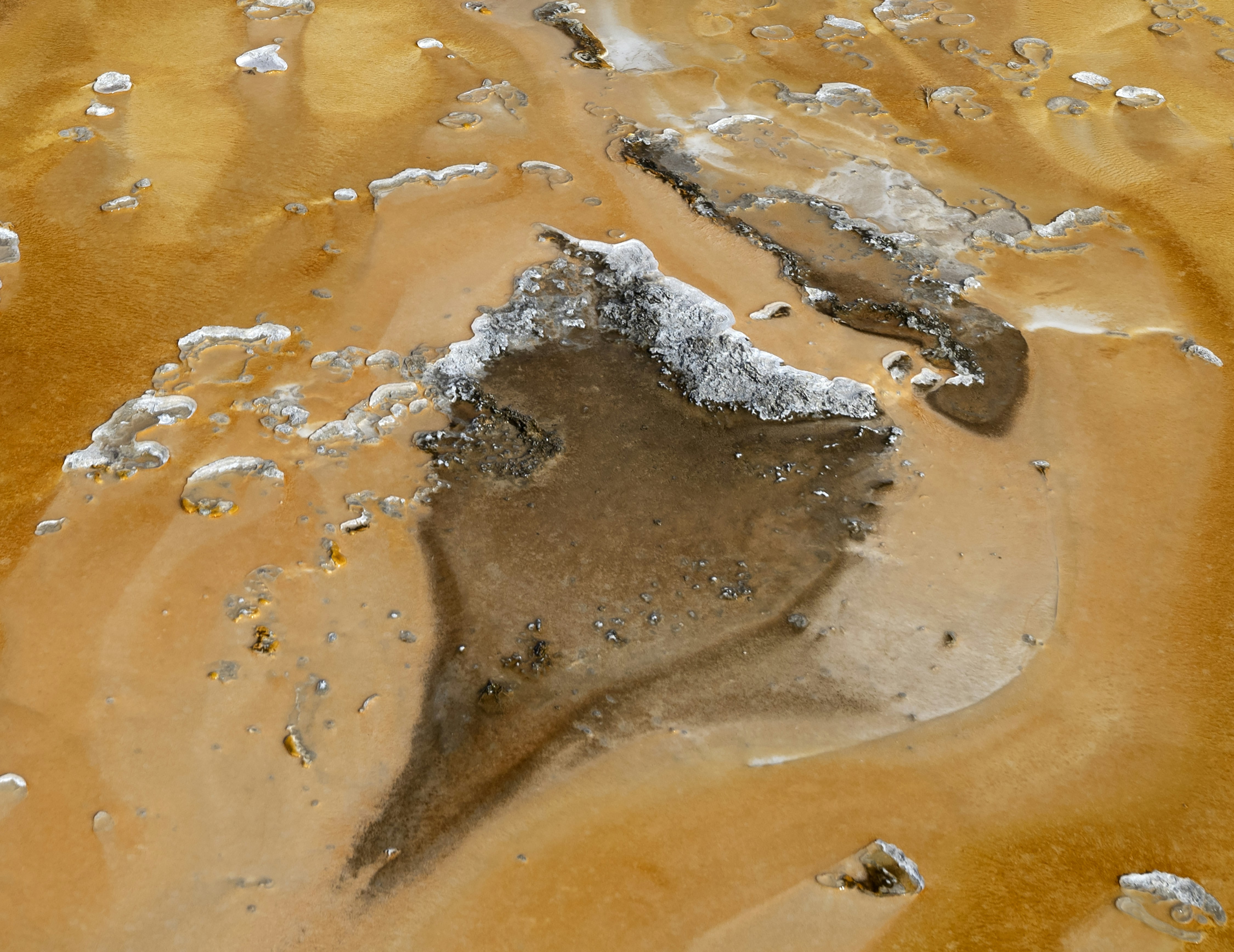 A close up of a brown substance with white stuff on it