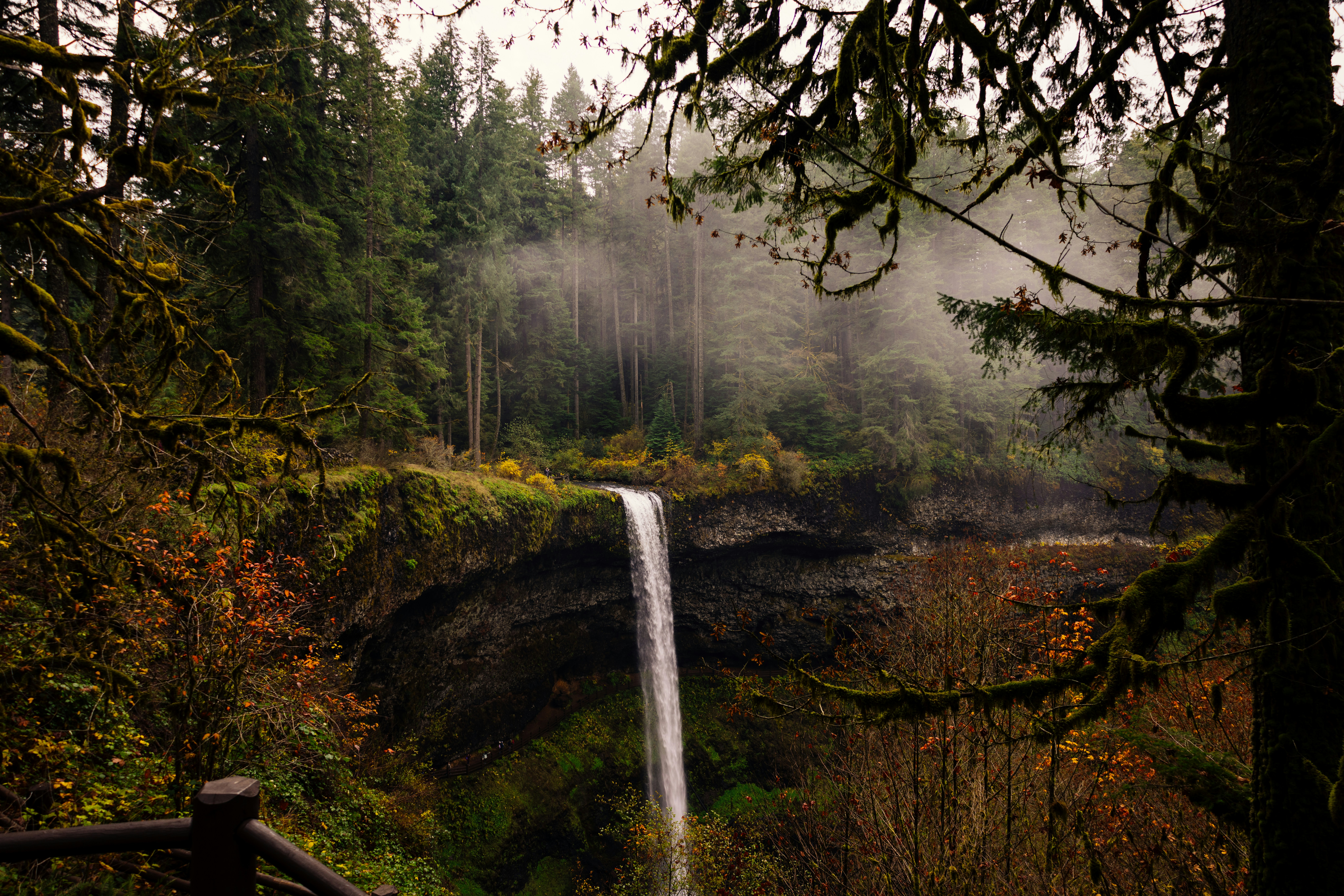 Using useState and useEffect Hooks