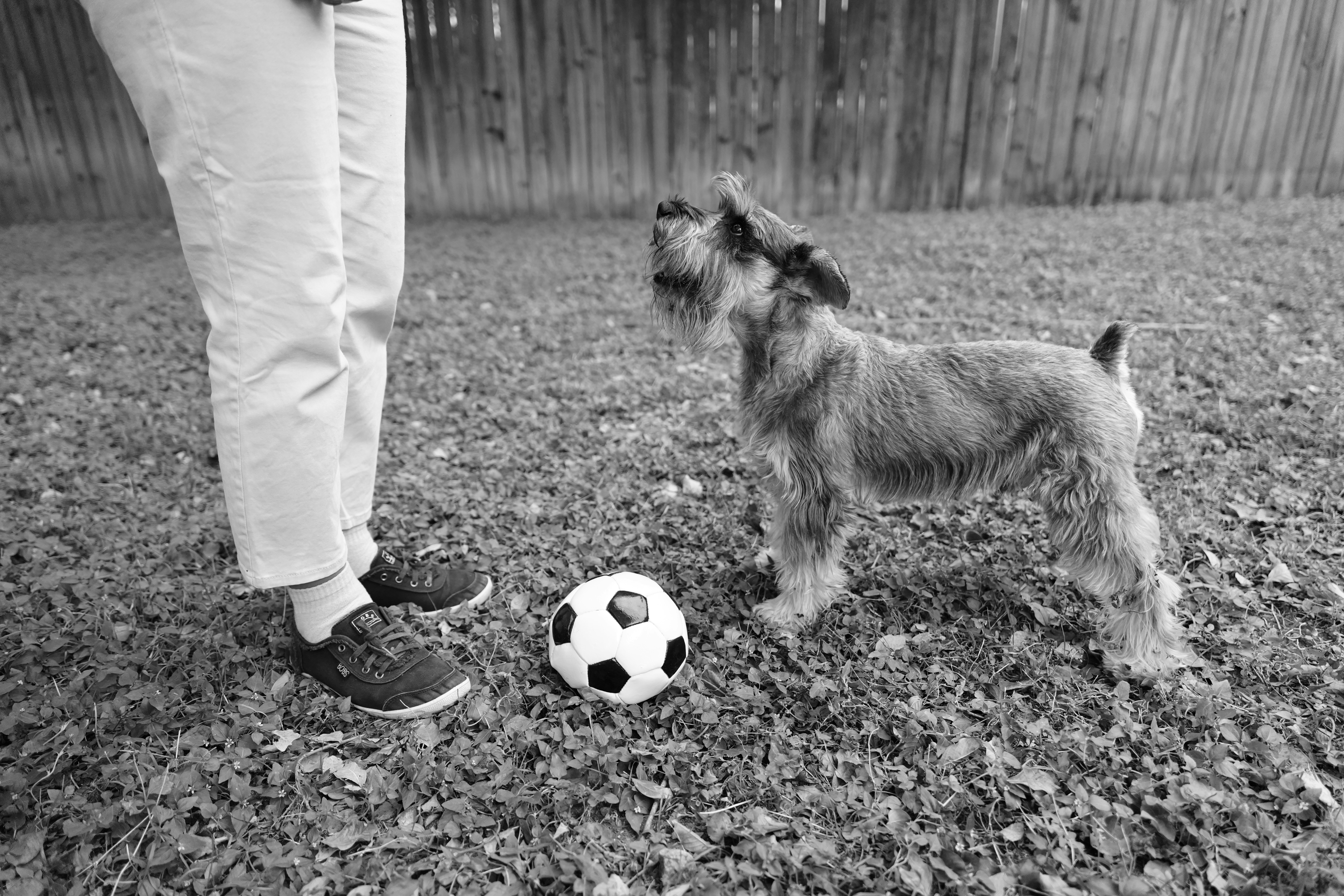 Errores, Aciertos y un Vacío de Perfección: Reflexiones y Preguntas sin Respuesta