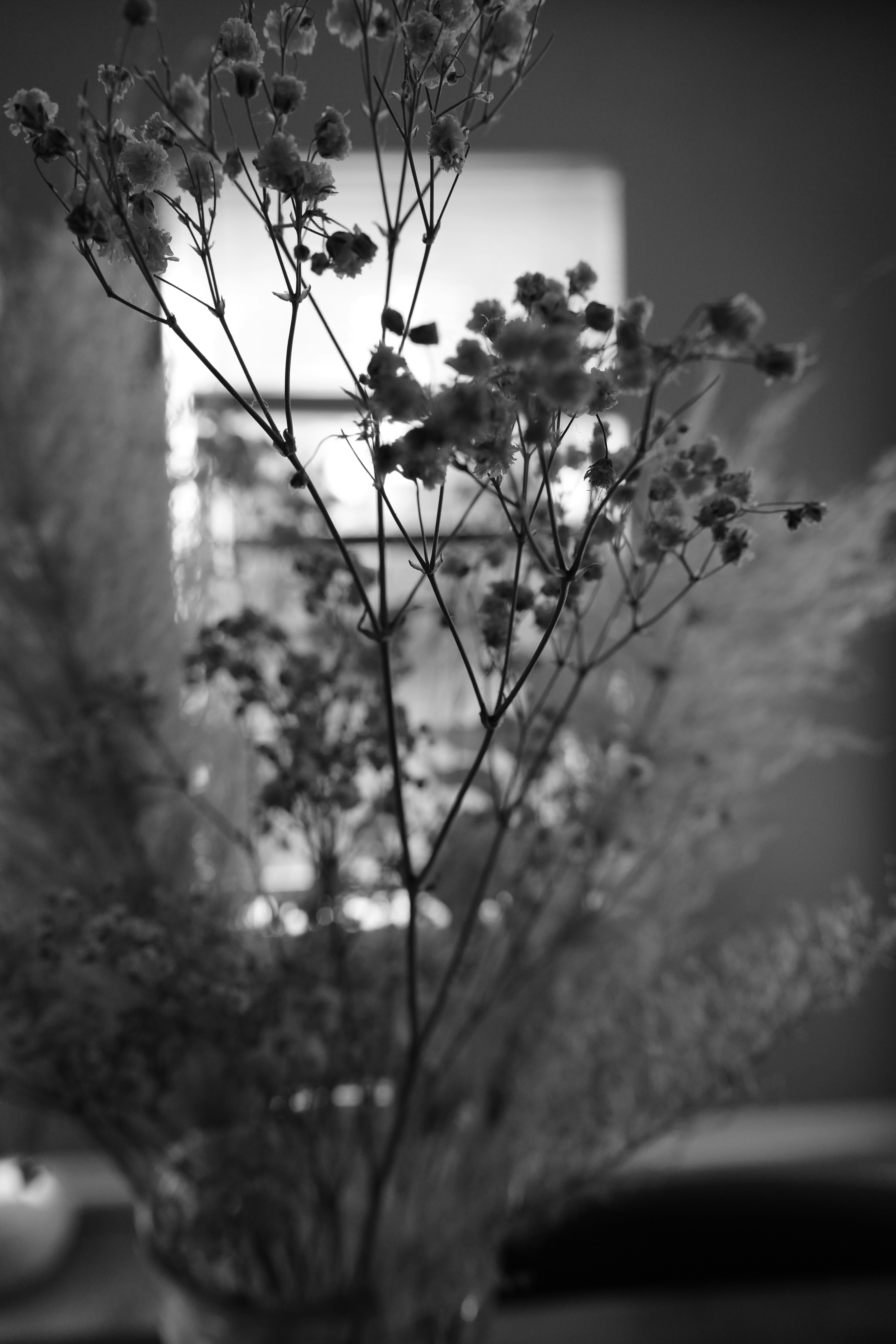 A black and white photo of flowers in a vase