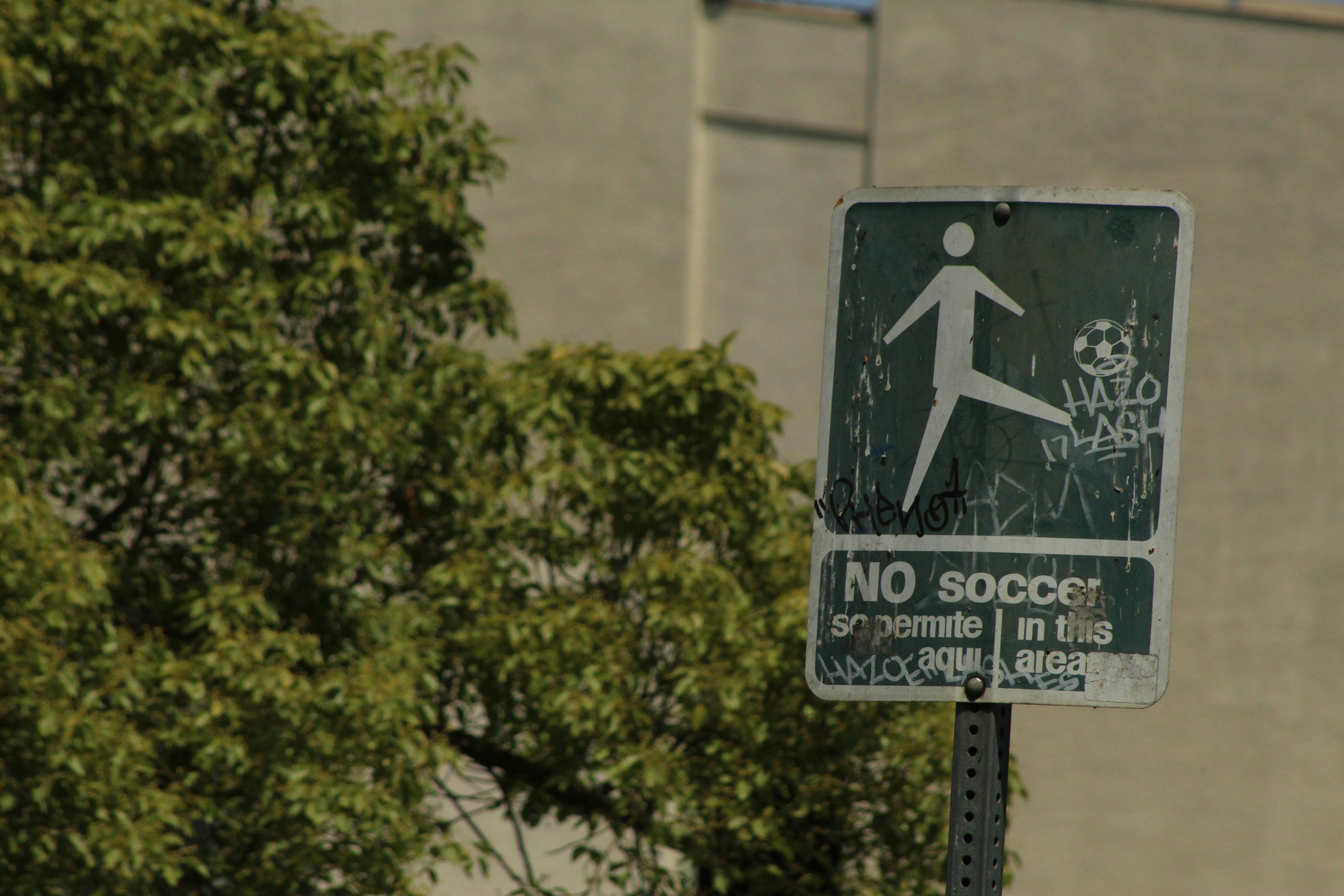 A street sign on a pole in front of a building