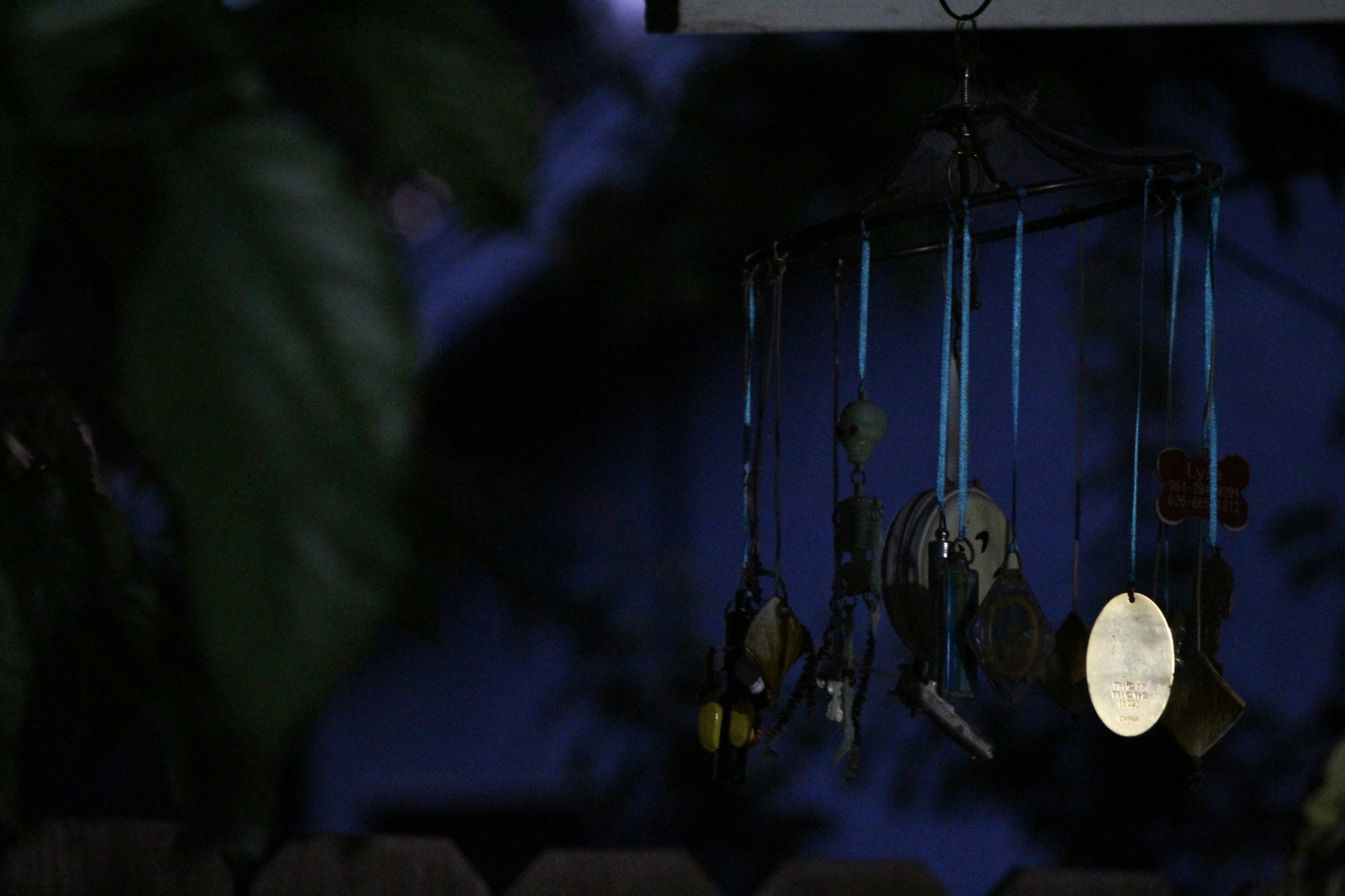 Photo by geisterbilder