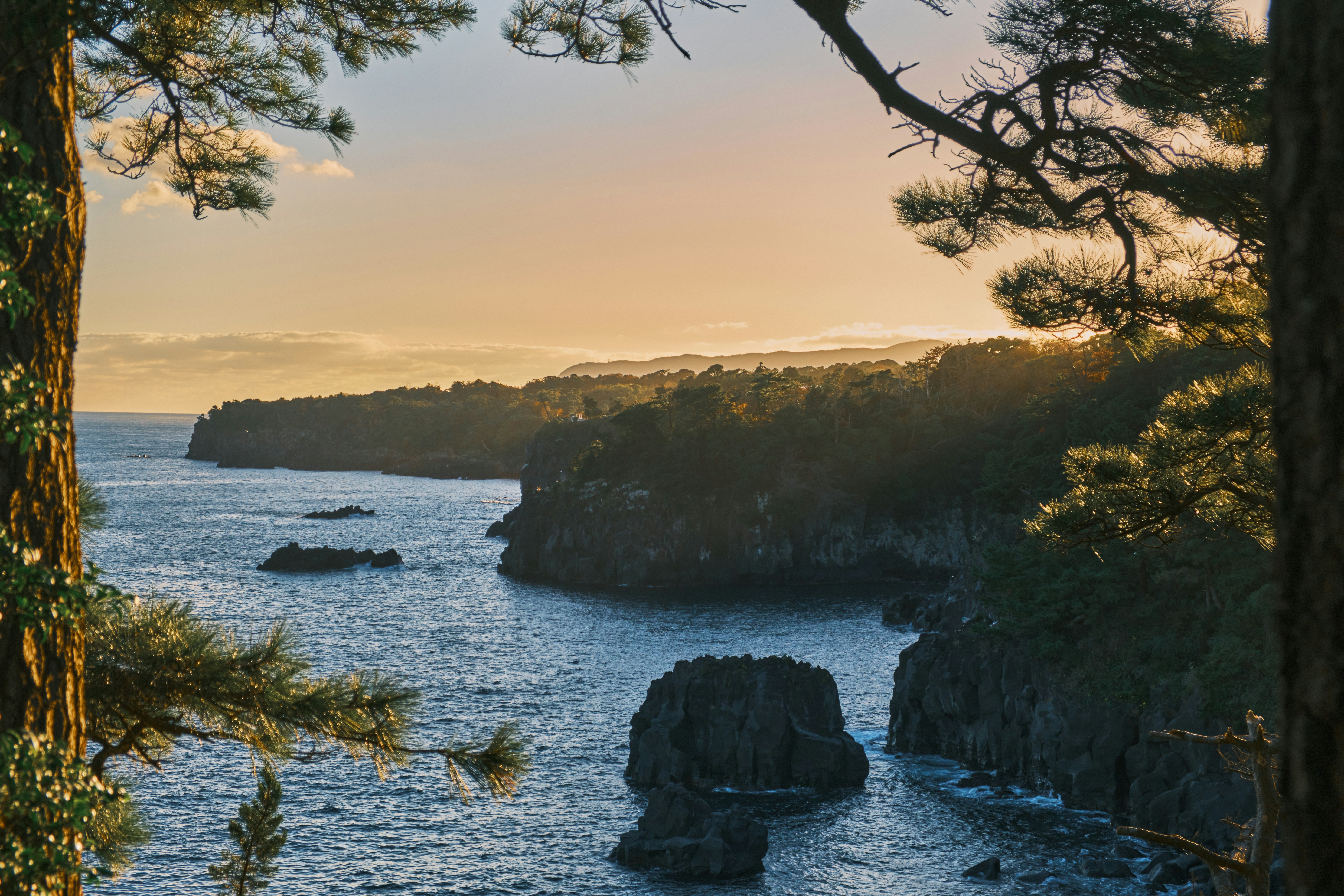 Photo by exquisitian