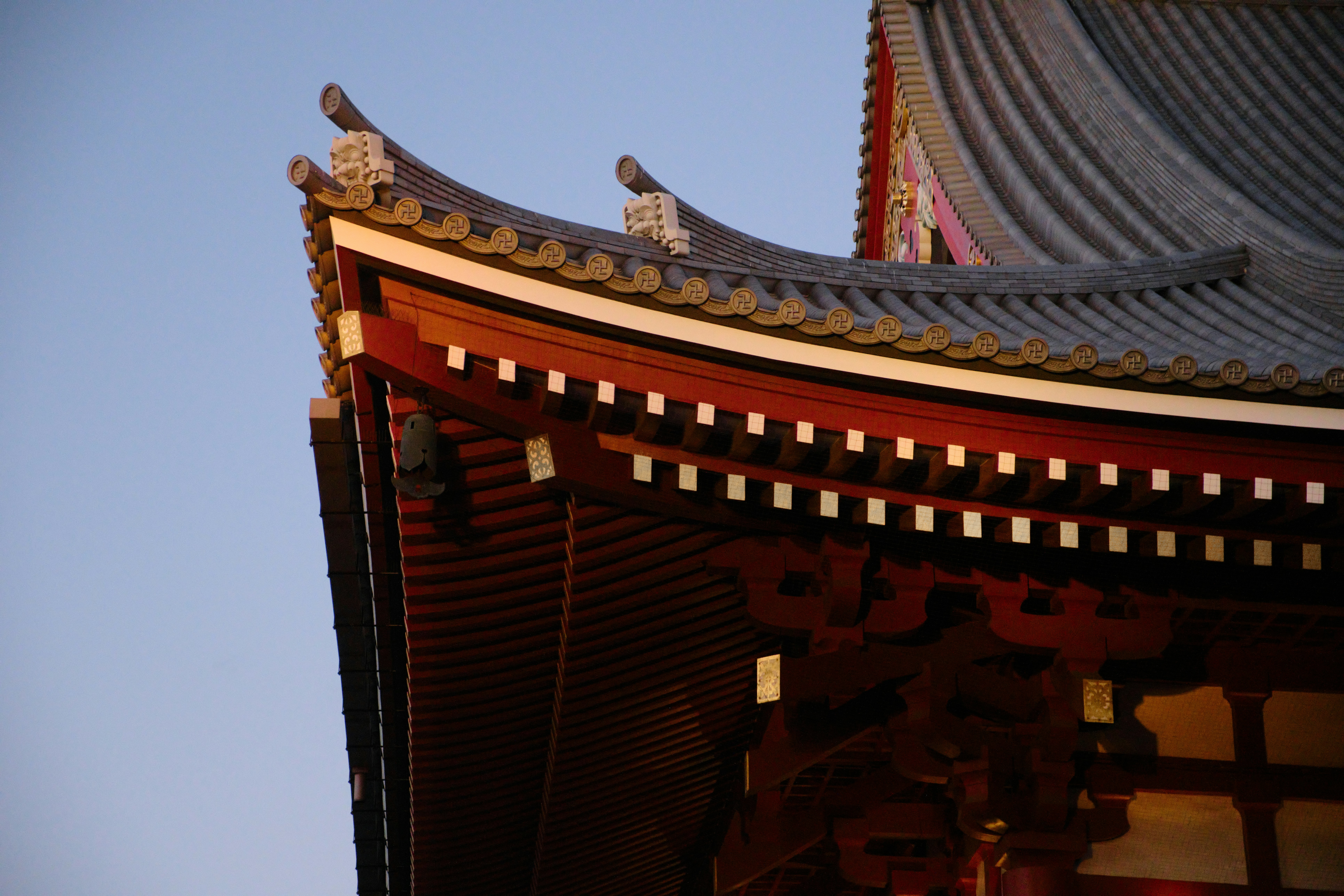 A bird is sitting on the roof of a building