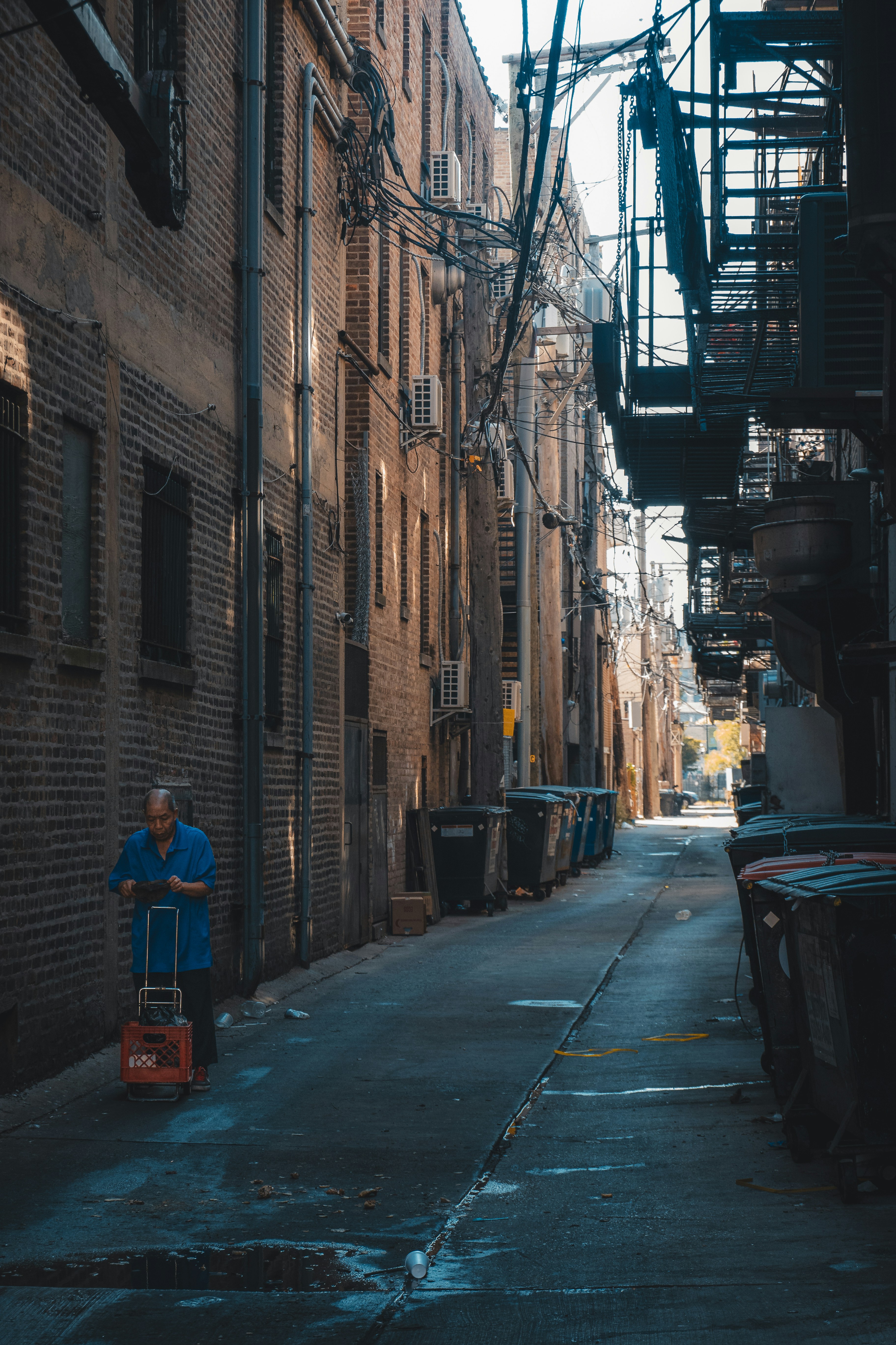 Photo by willianjusten