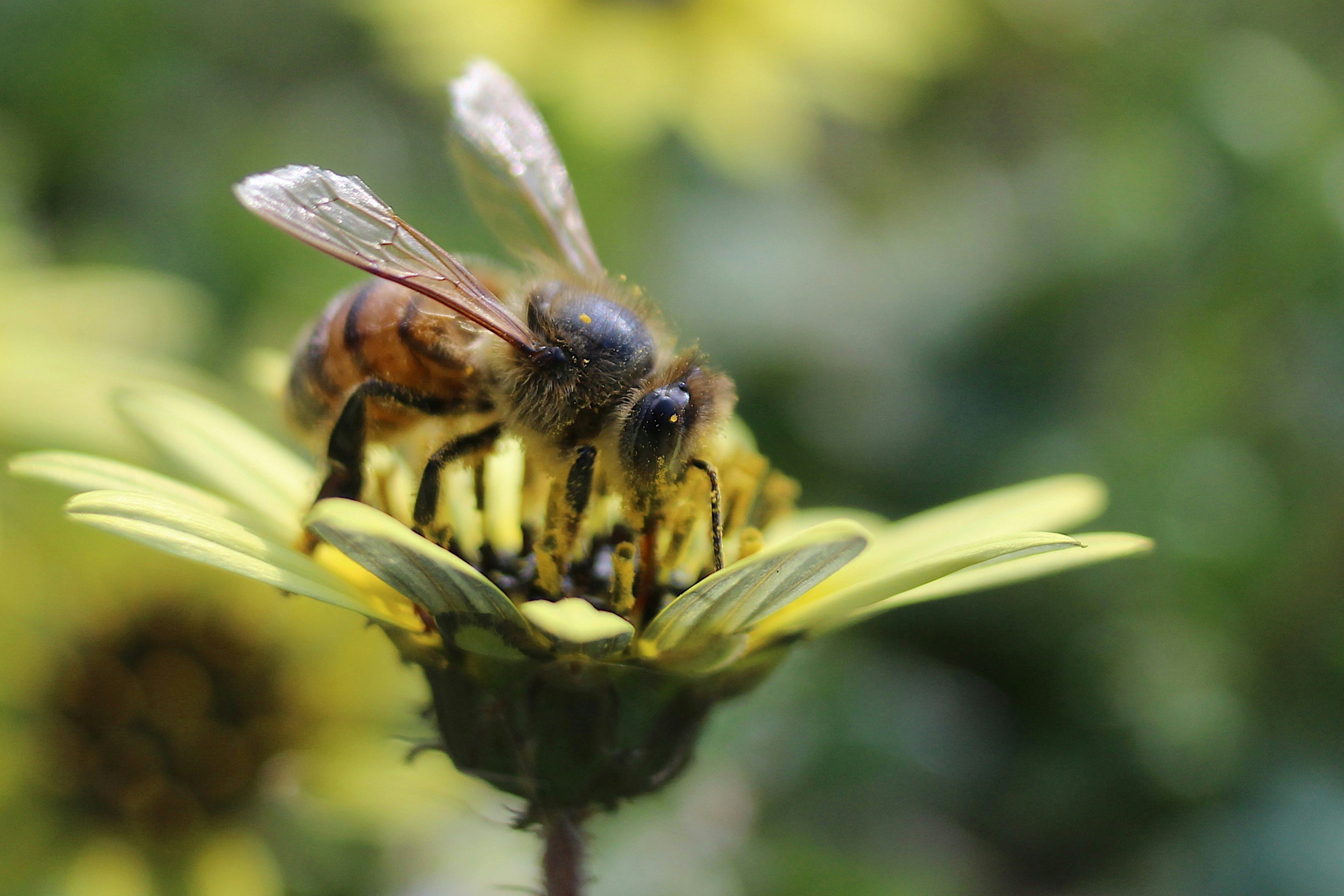 Photo by shockdiamond